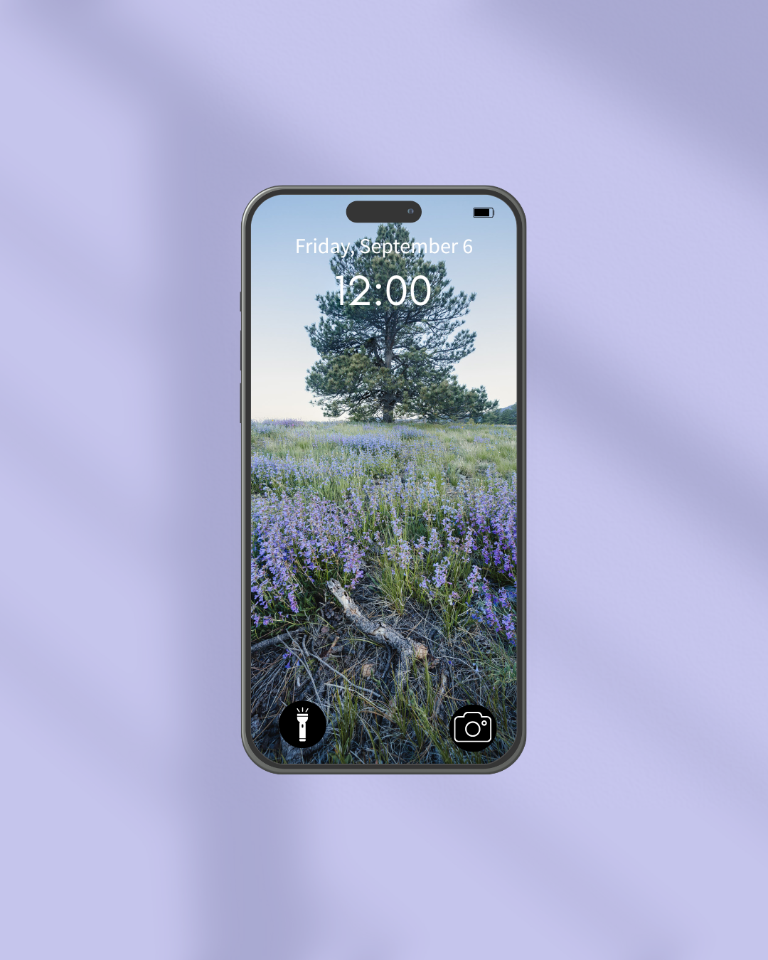 Wildflower Pack (5).png