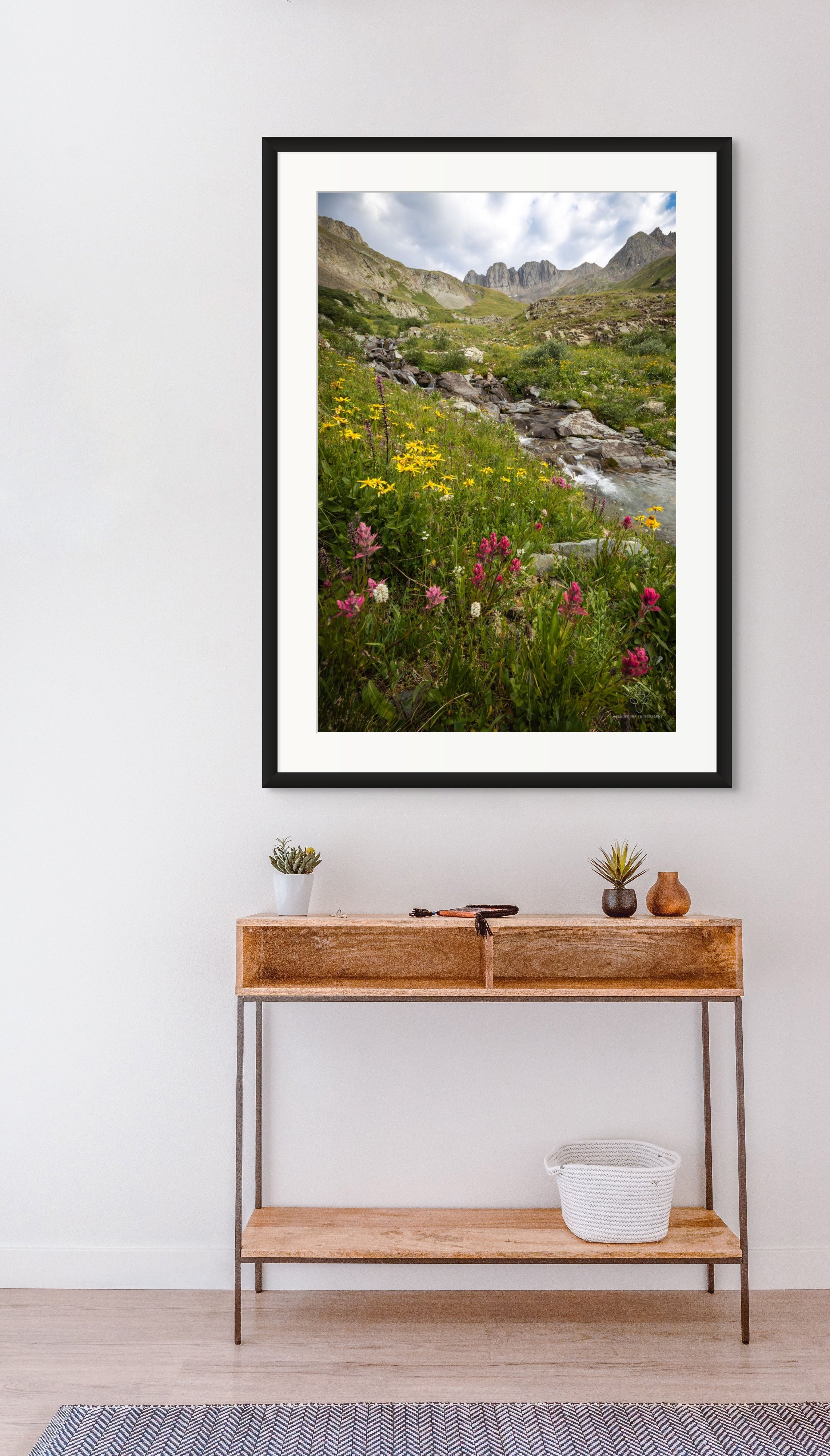 american basin wildflowers copy.jpg