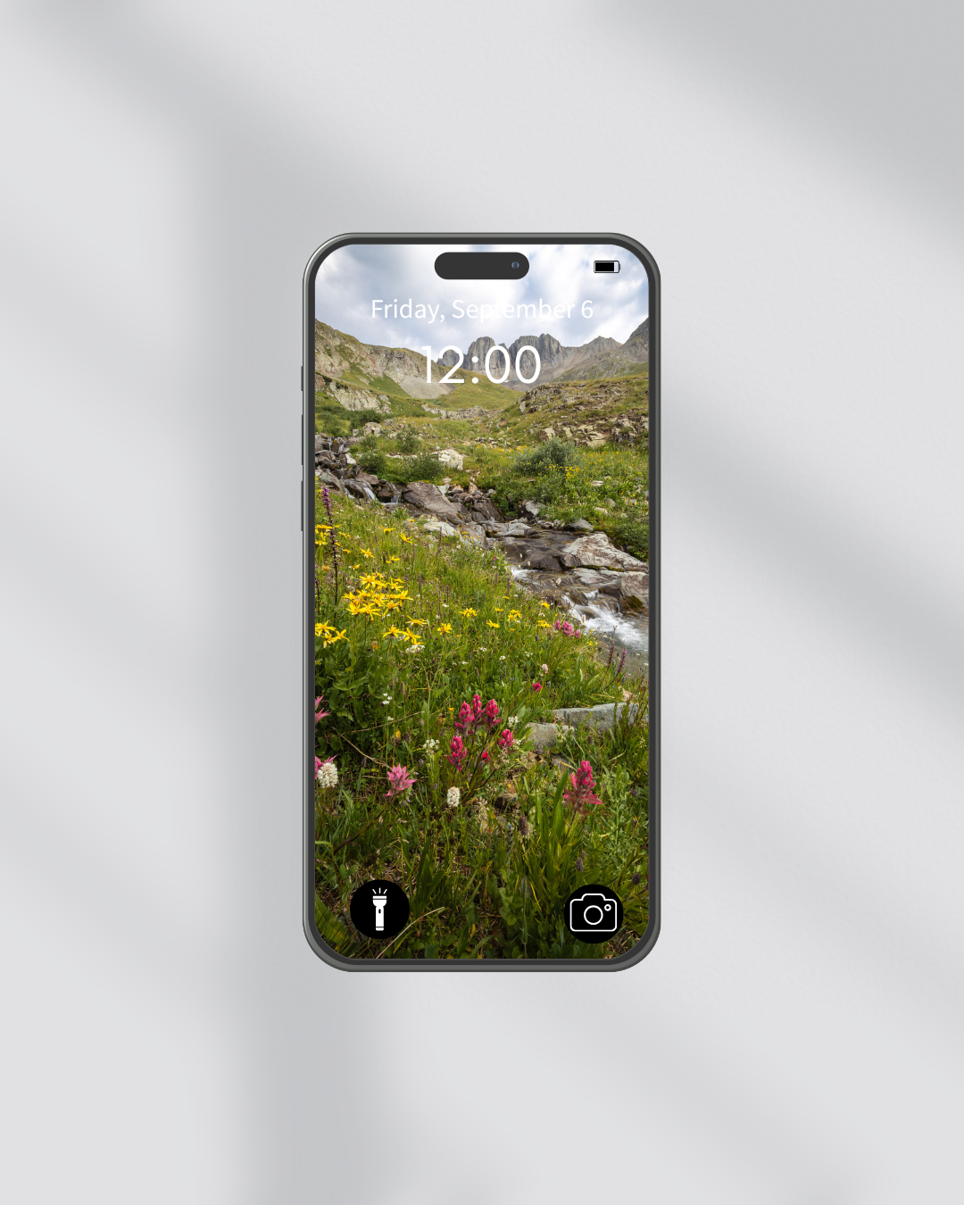 Wildflower Pack (3).png