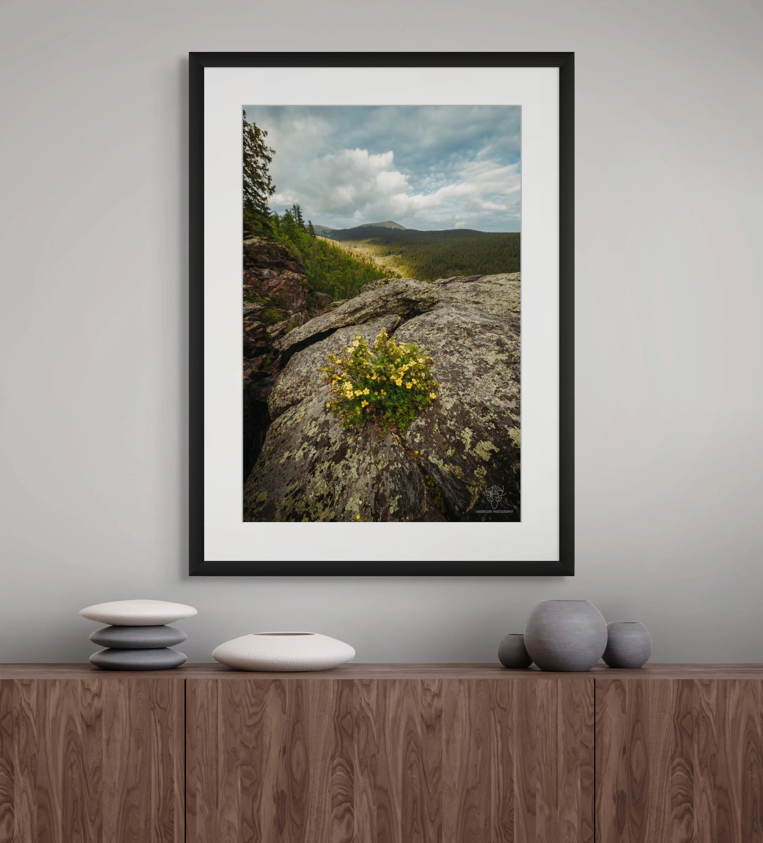 through the cracks copy.jpg