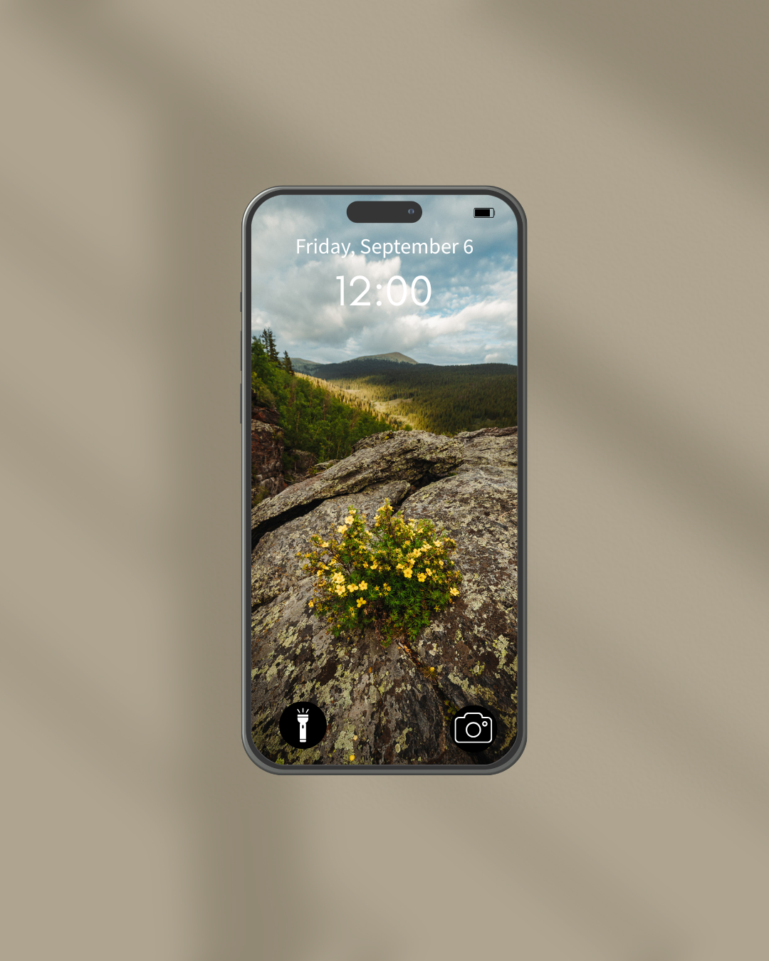 Wildflower Pack (2).png
