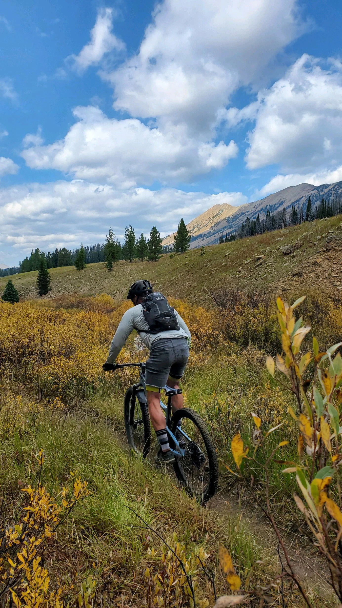 A shared code of kindness