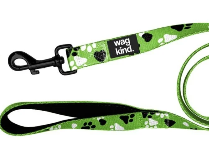 Wag+Kind+Leash.jpg