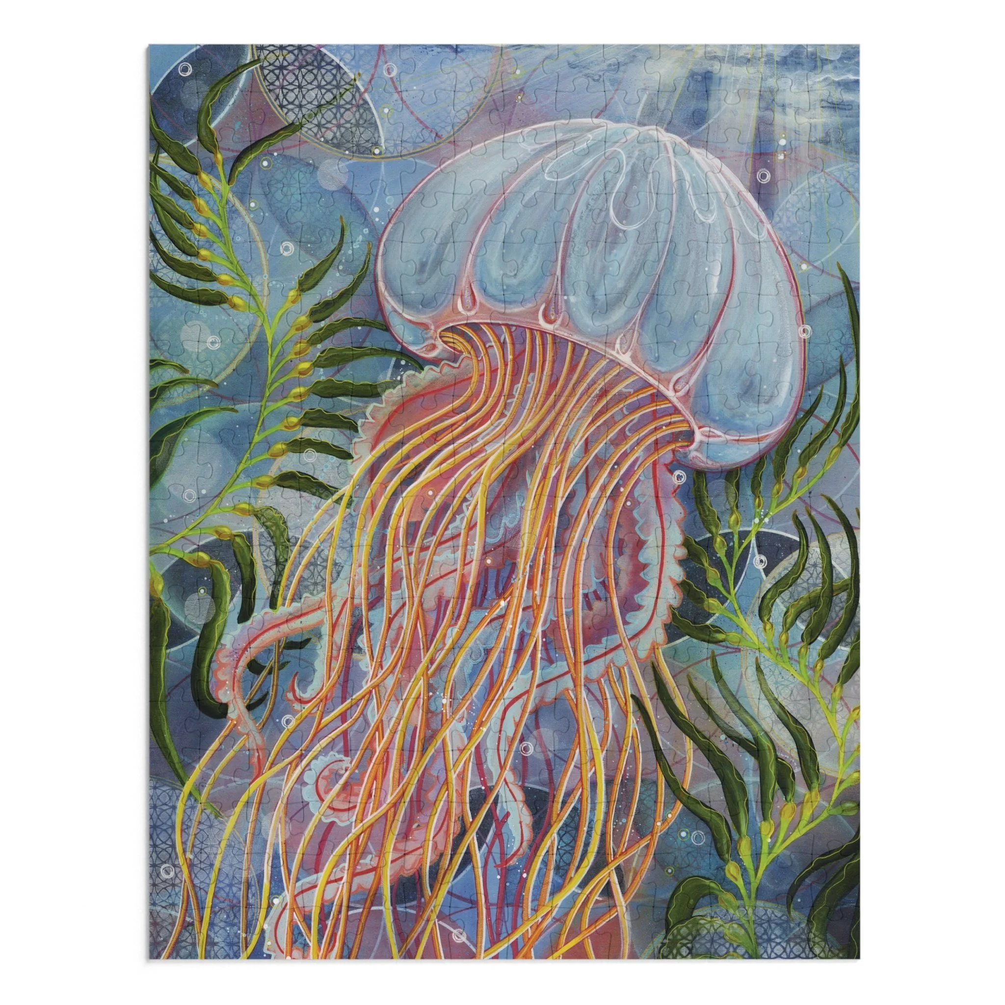 cd448f4dc3e5c950185045757914c1d2