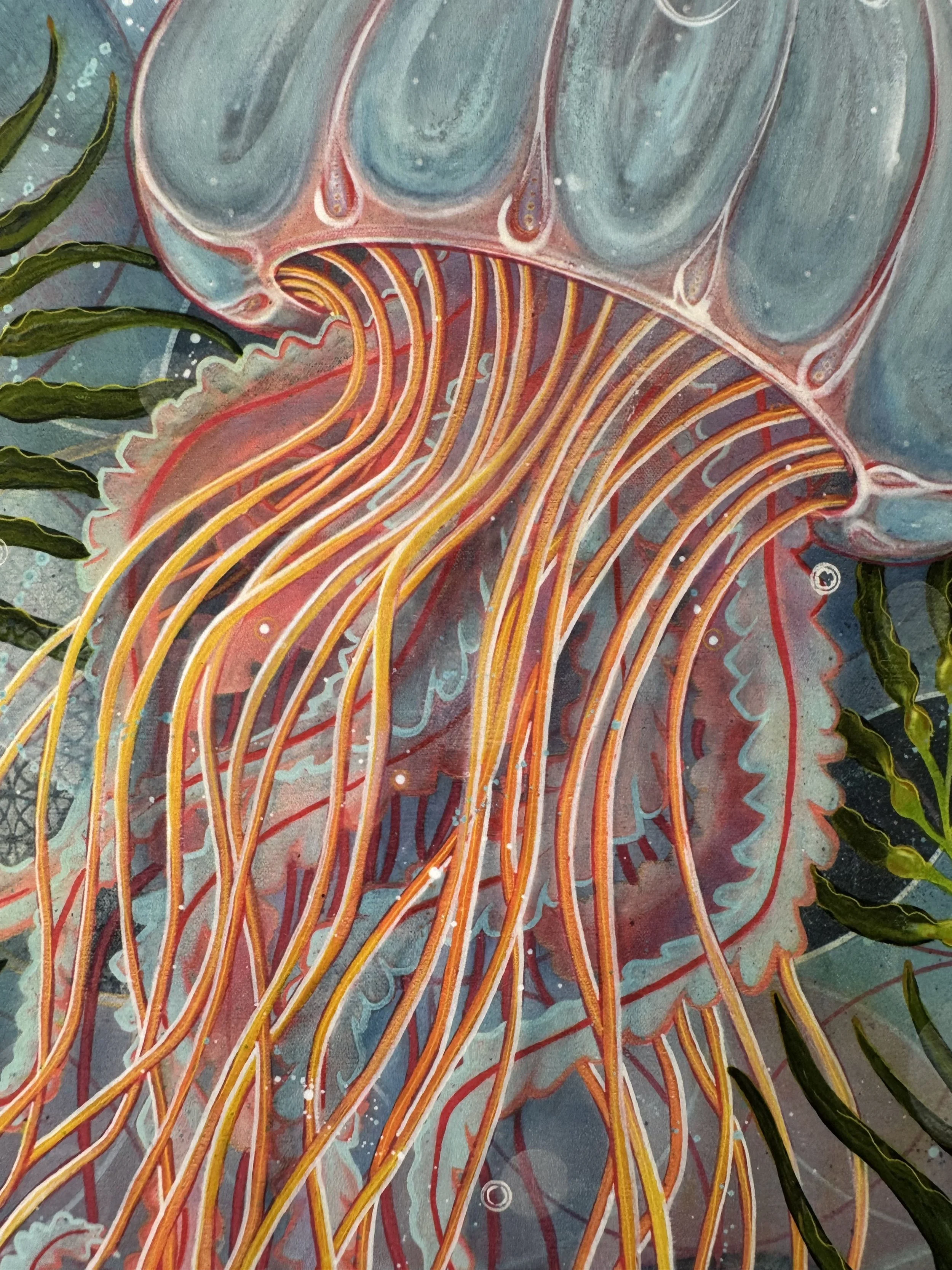 Jellyfish5.jpg