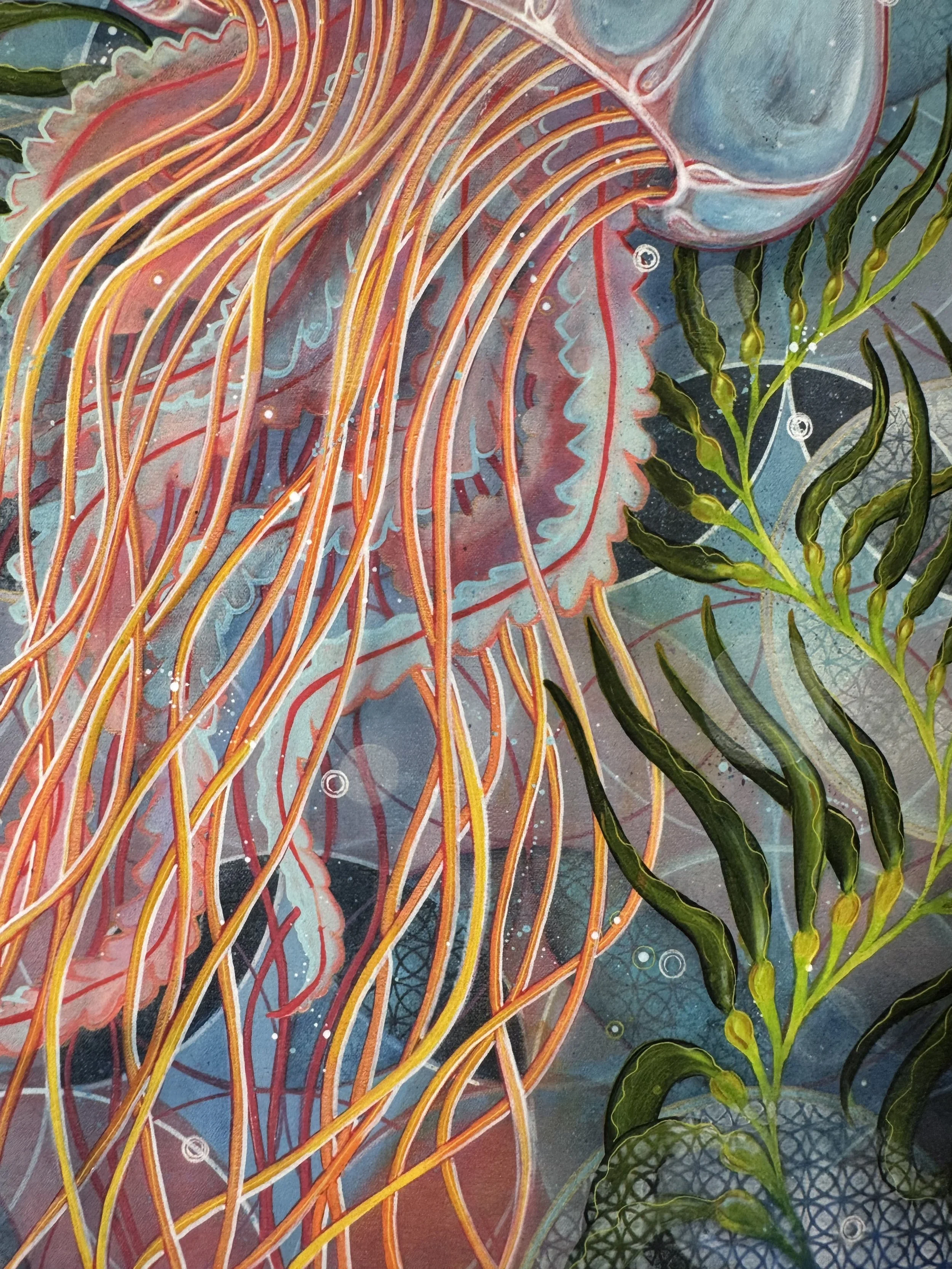 Jellyfish_detail3.jpg
