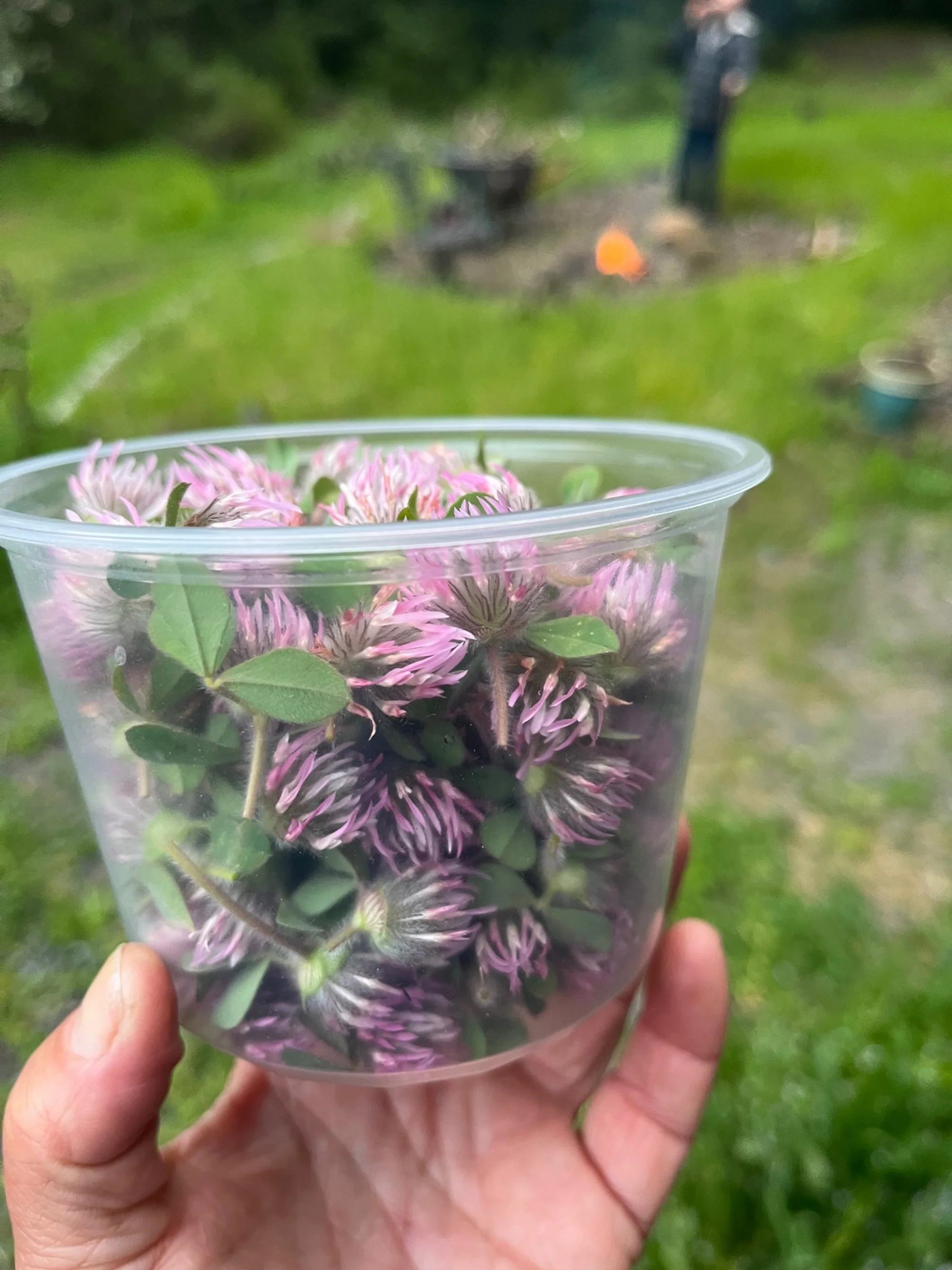 Spring on the homestead