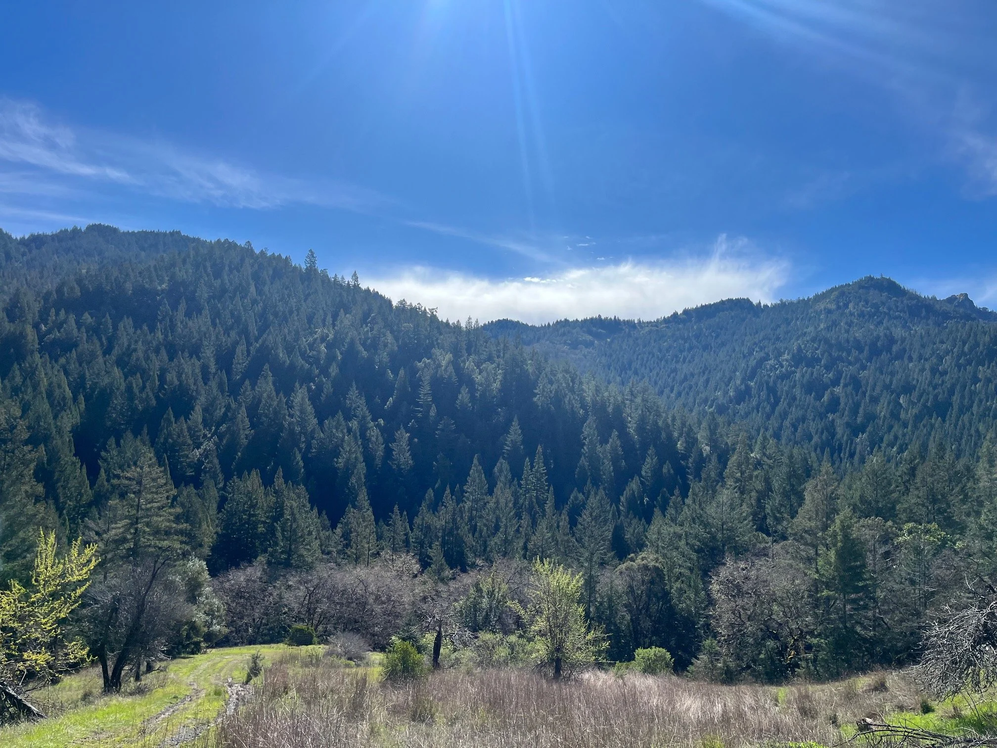Early Spring at the Homestead