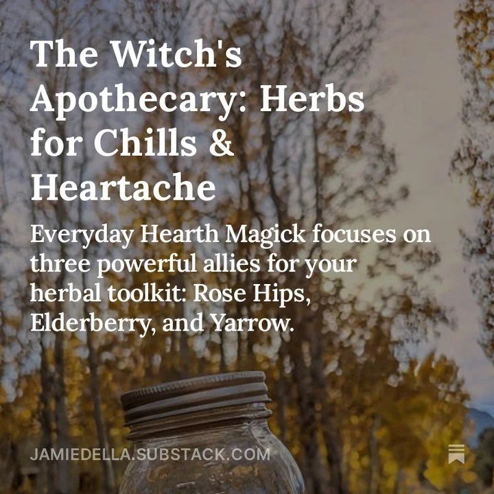 We received a blow this week that could make us feel numb and heartbroken. By working with respect and community with the plant kin-dom, we can elevate the collective consciousness. Healing occurs by focusing on the love that connects us all. We must