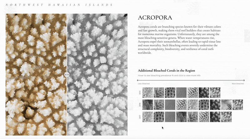 color-clickhover.gif