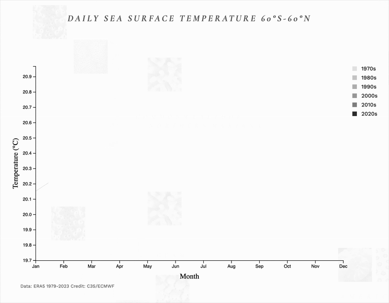 temp-animation.gif