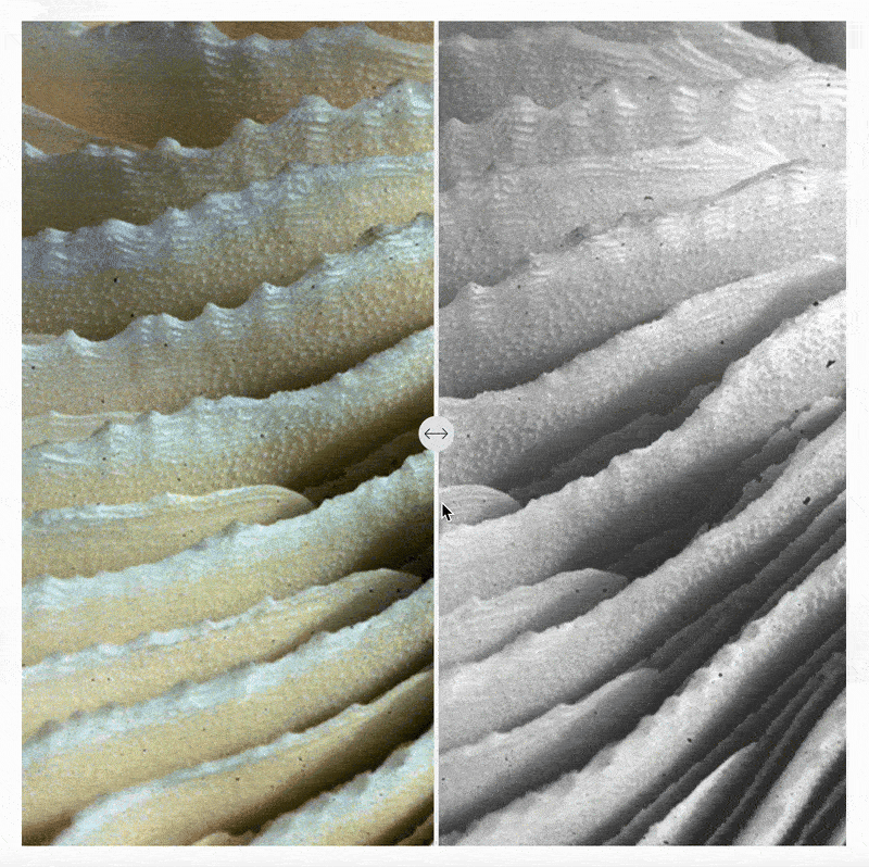 slider.gif