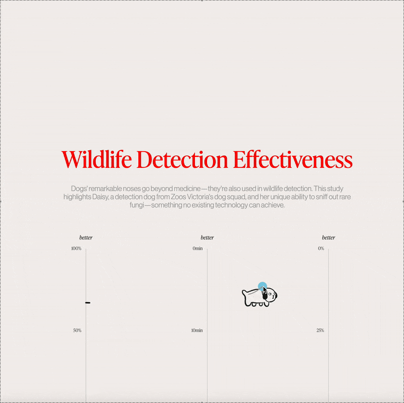 wildlife.gif