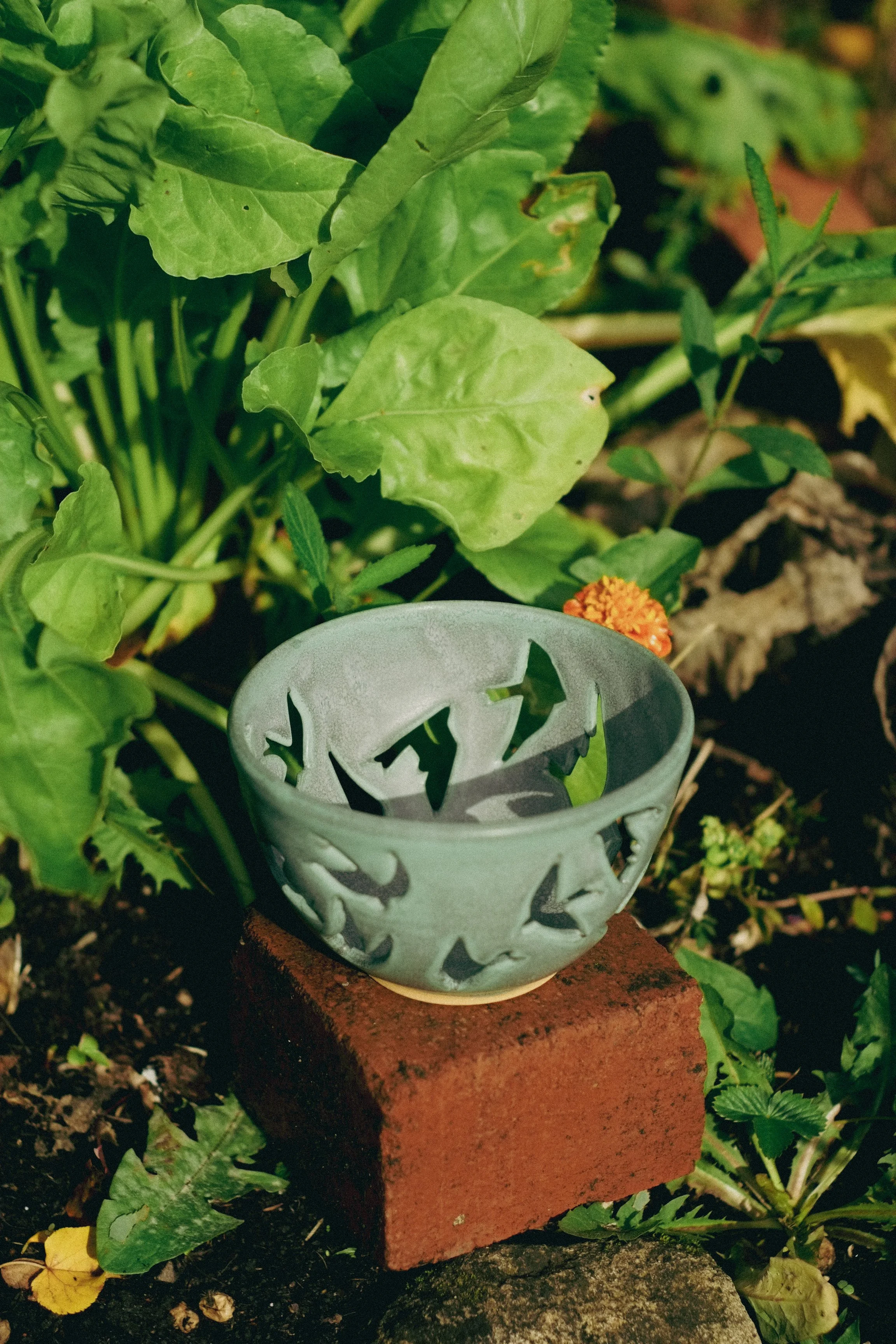 DSCF2565.jpg