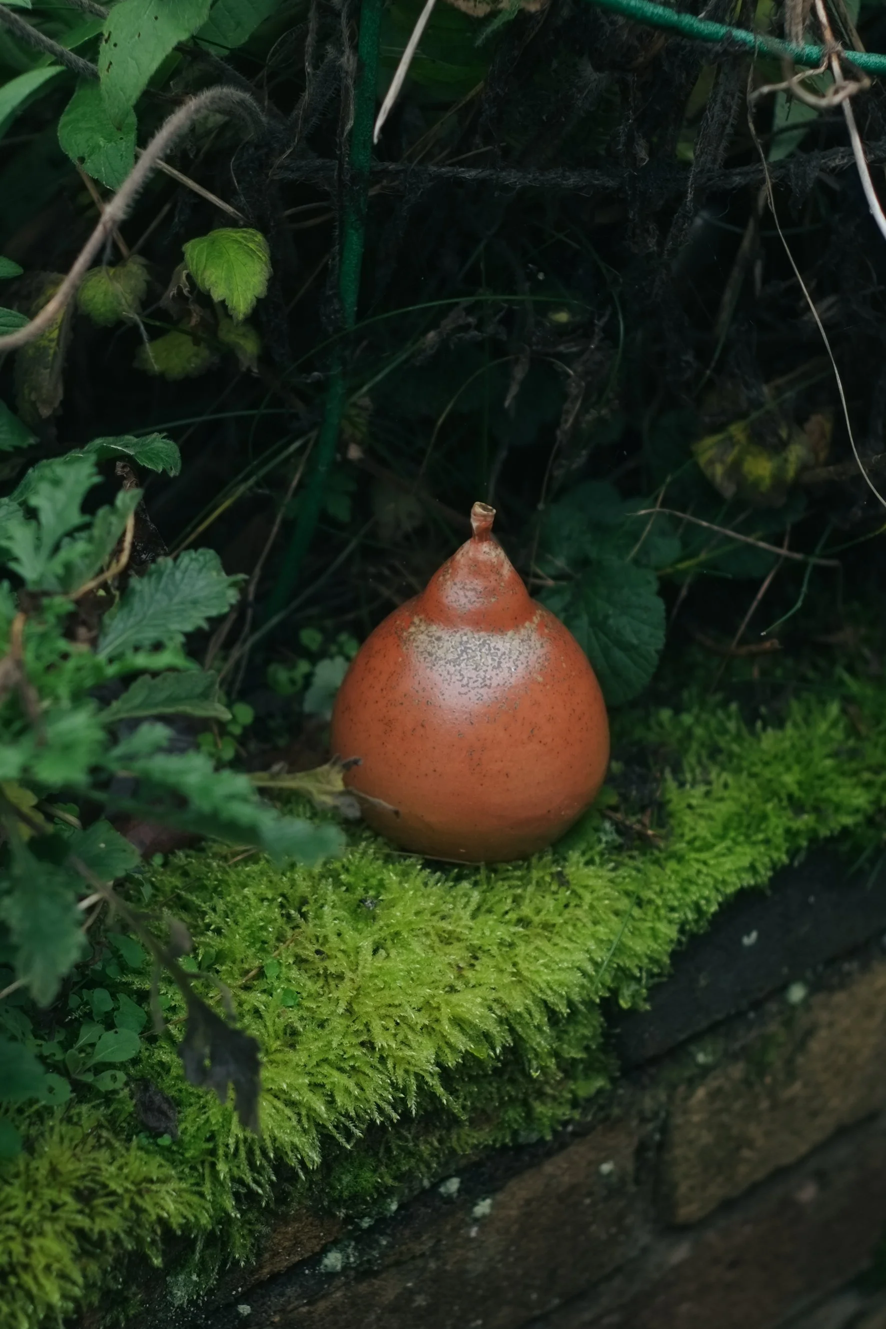DSCF4590.jpg