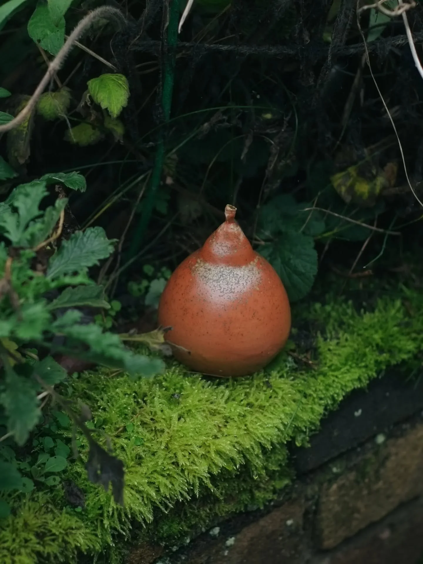 Tomorrow. I'm so proud of this collection, a nice way to end the year. I'll send out the early access code tomorrow at 6pm as usual, where you'll have an hour to sh0p before everyone else. There's still time to sign up to my mai1ling list on my wibsi