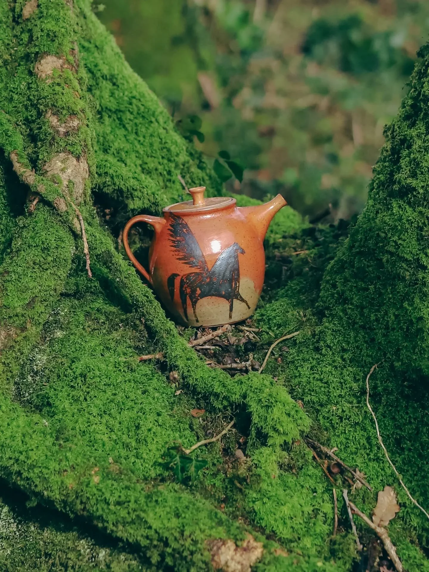 This morning I opened the kiln @kigbearepottery and took a few pots down the valley, into the forest to photograph. The trees are dripping with moss, the bluebells are pushing through and the birds are singing their hearts out! I'm planning for a sh0