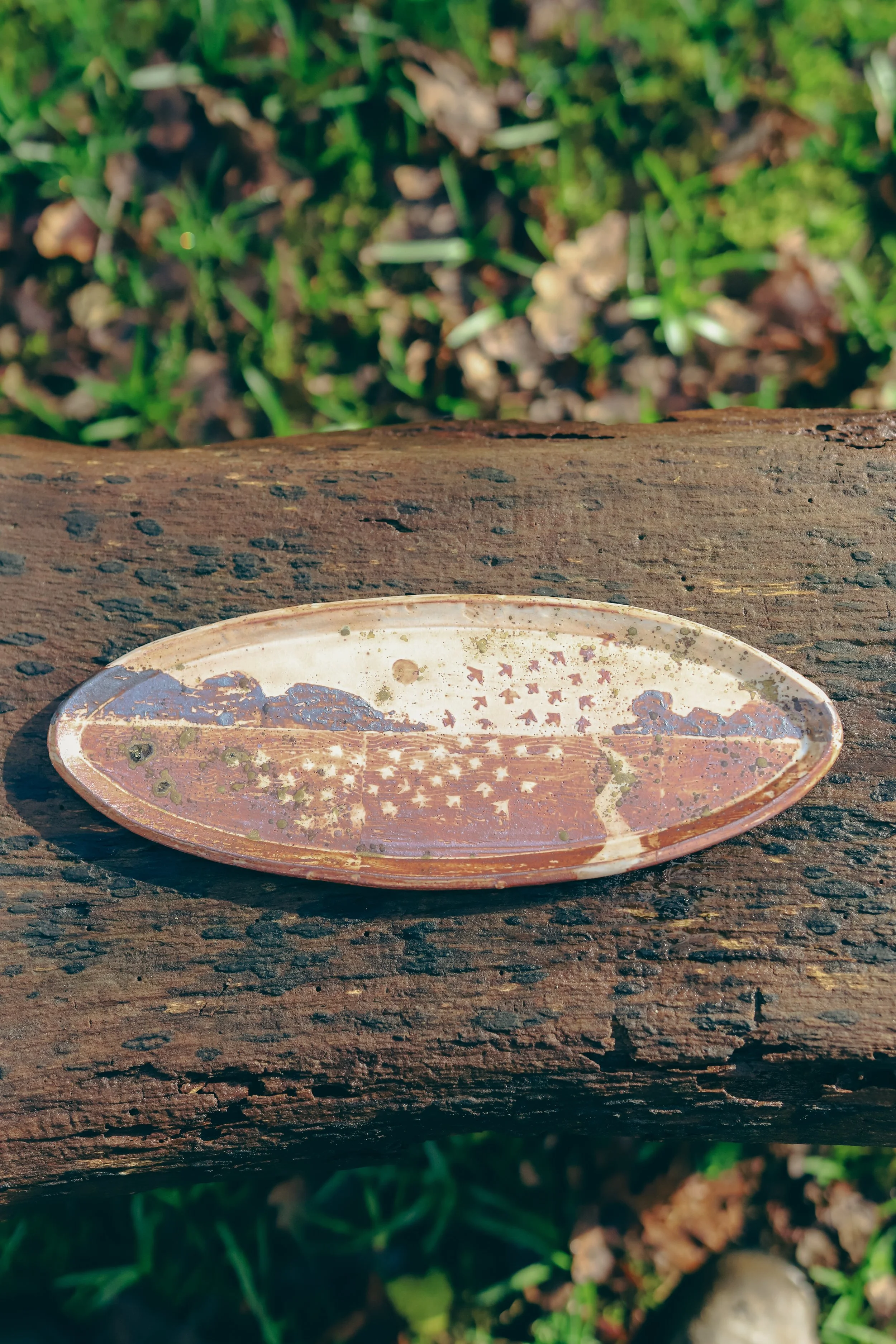 The Starling Murmuration Platter