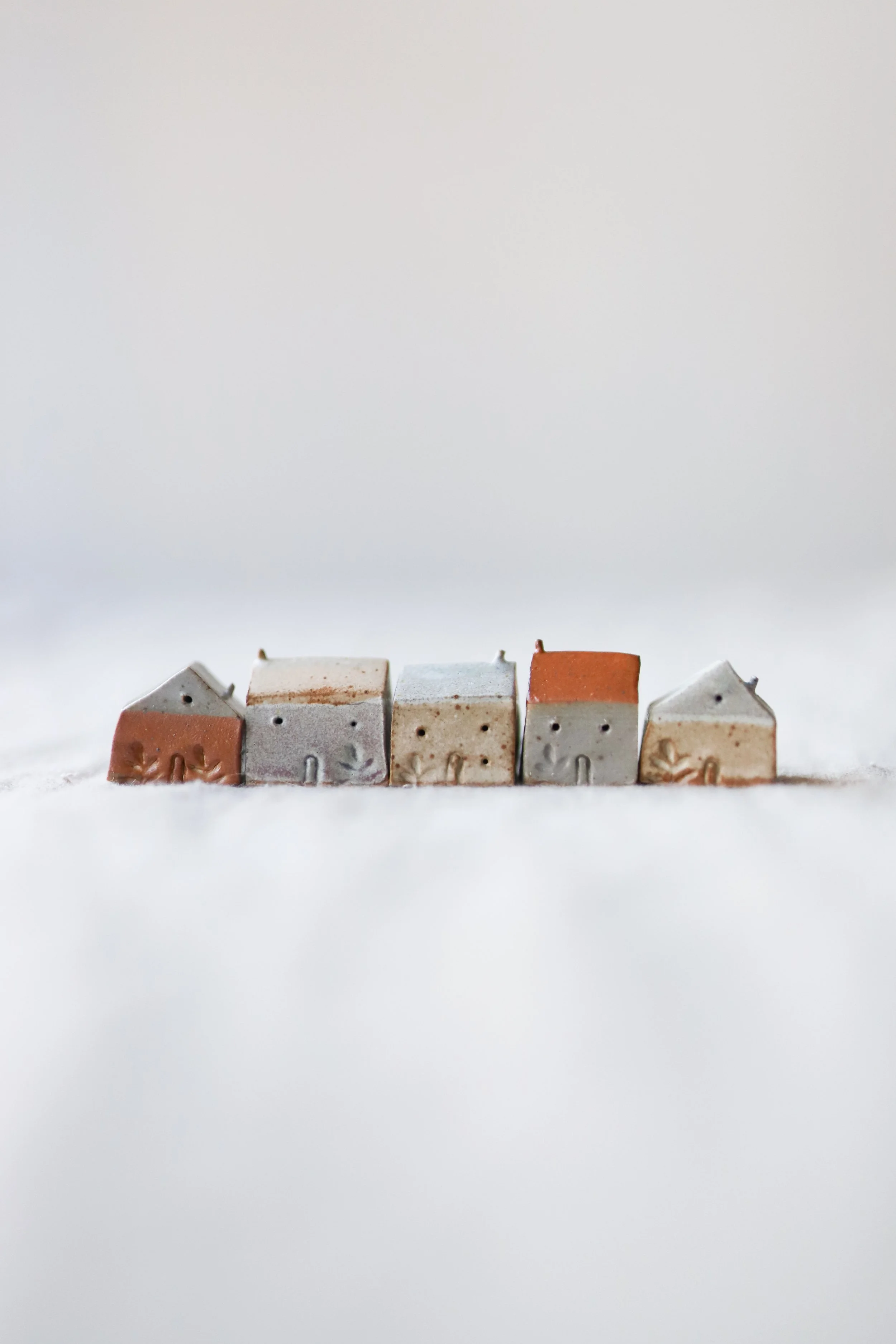 IMG_6566-2.jpg (Copy)