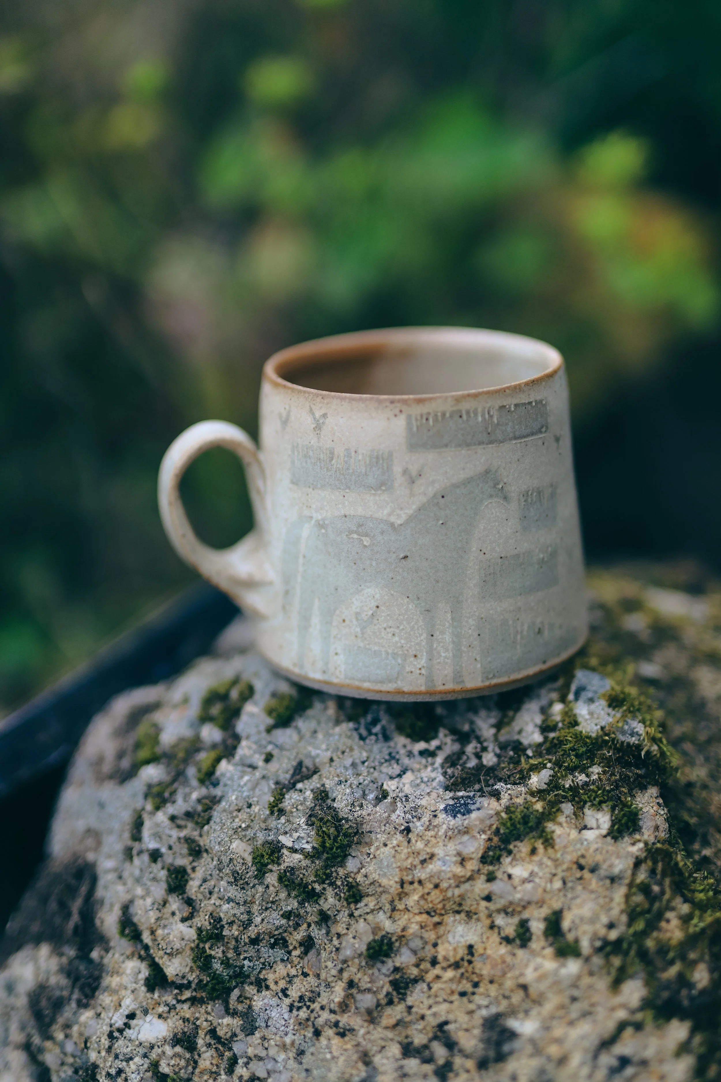 The Pony in the Mist Mug