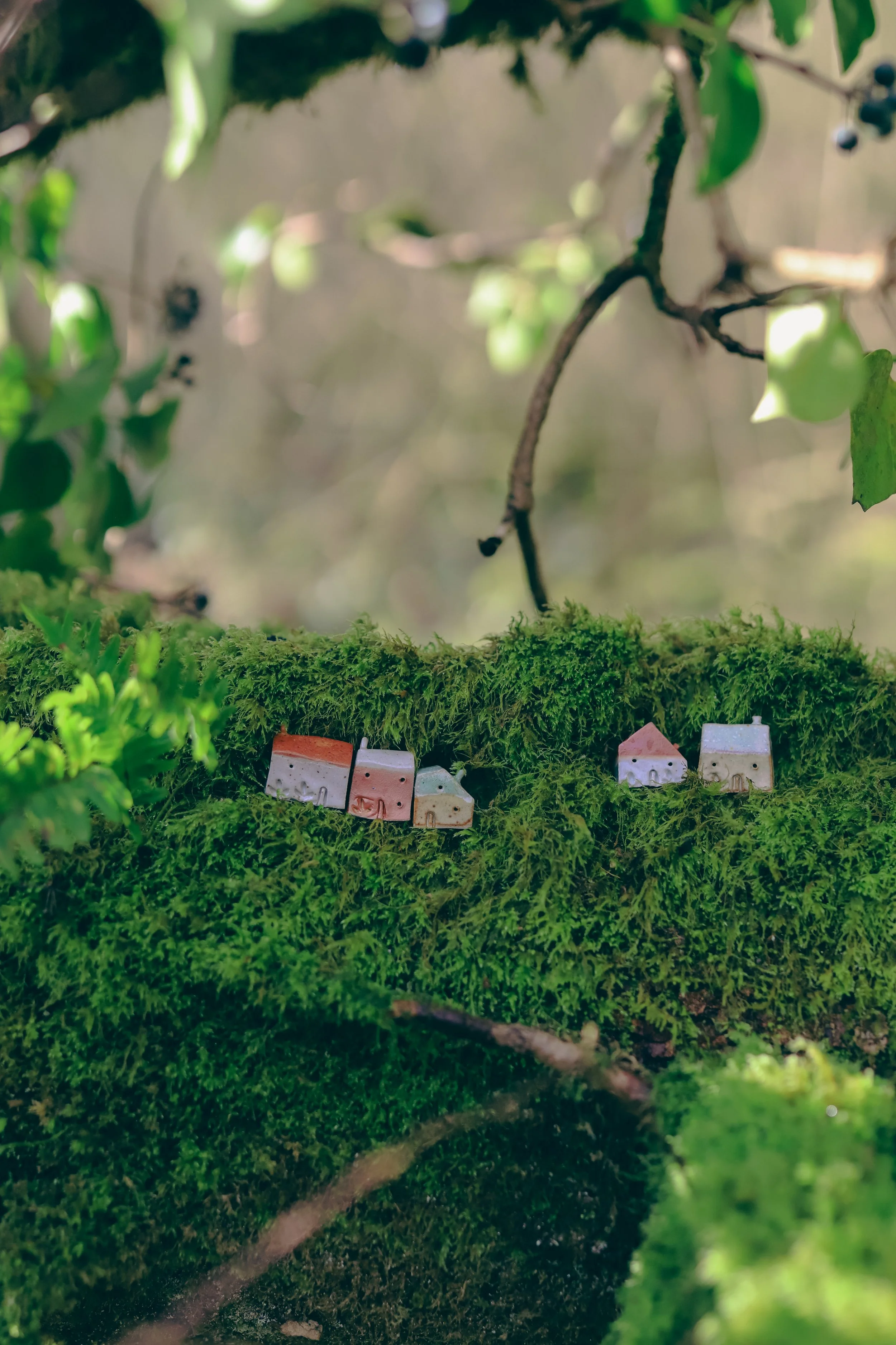 IMG_5585.jpg (Copy) (Copy) (Copy) (Copy) (Copy) (Copy)