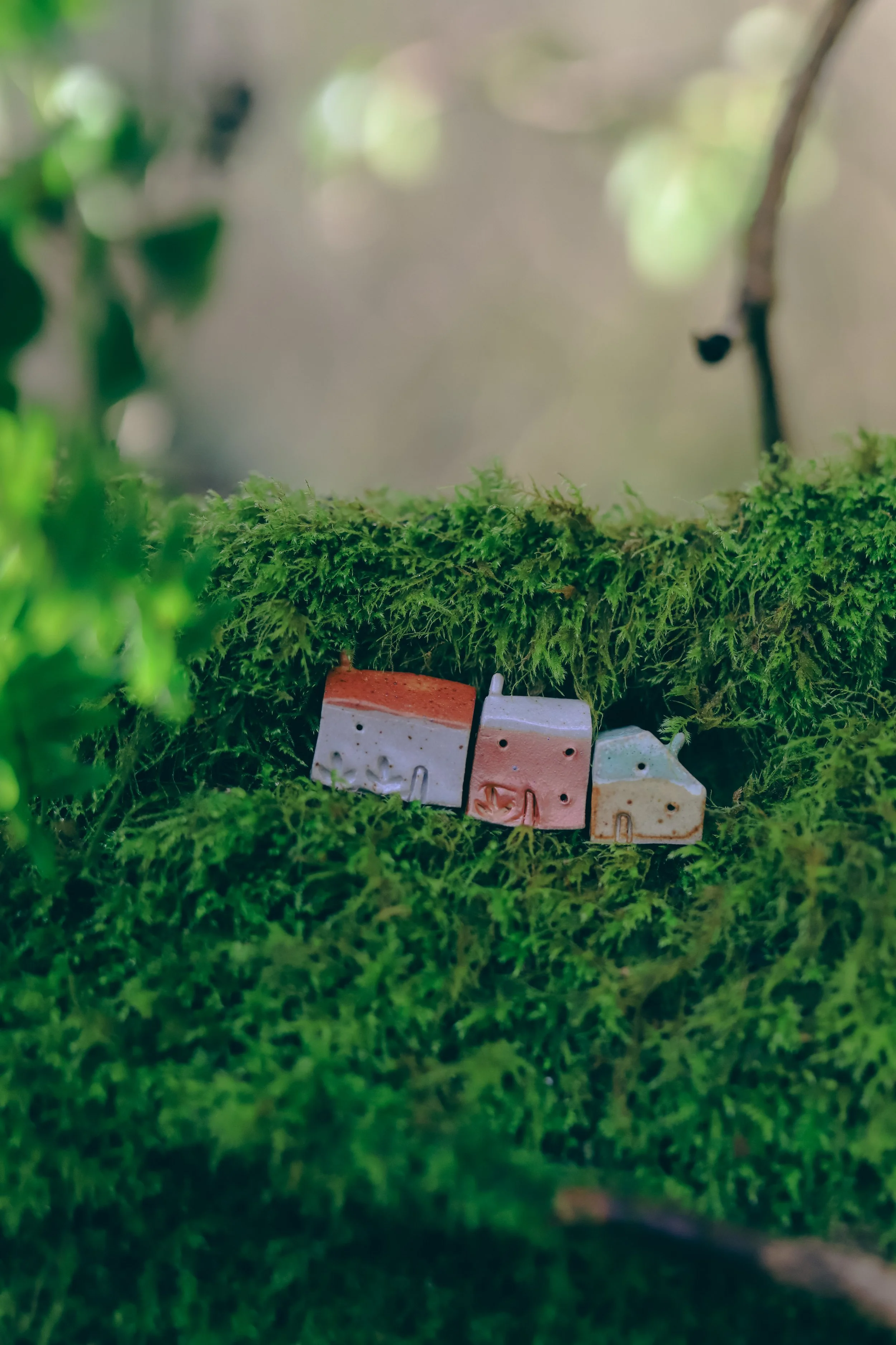 IMG_5586.jpg (Copy) (Copy) (Copy) (Copy) (Copy) (Copy)