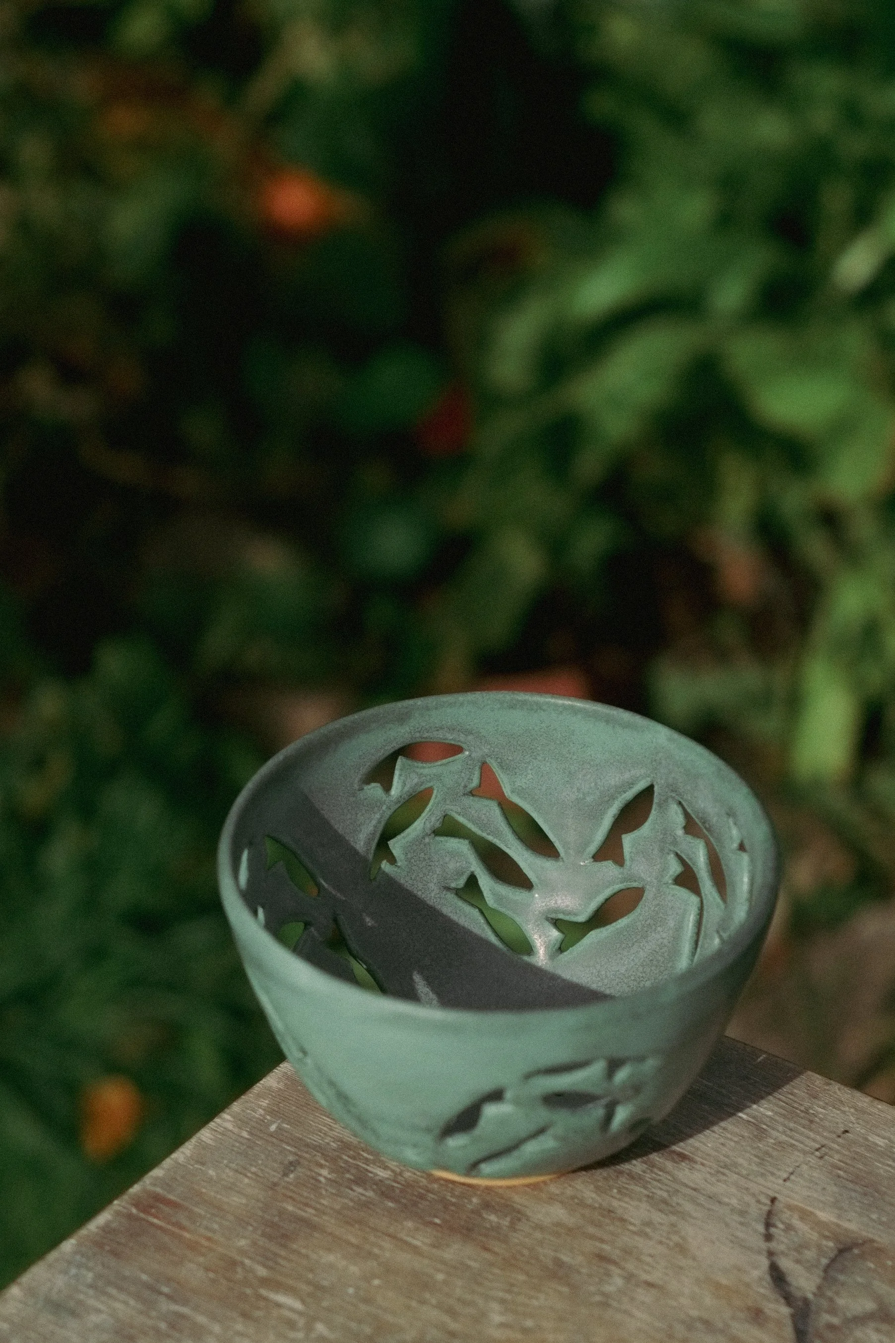 DSCF2560.jpg