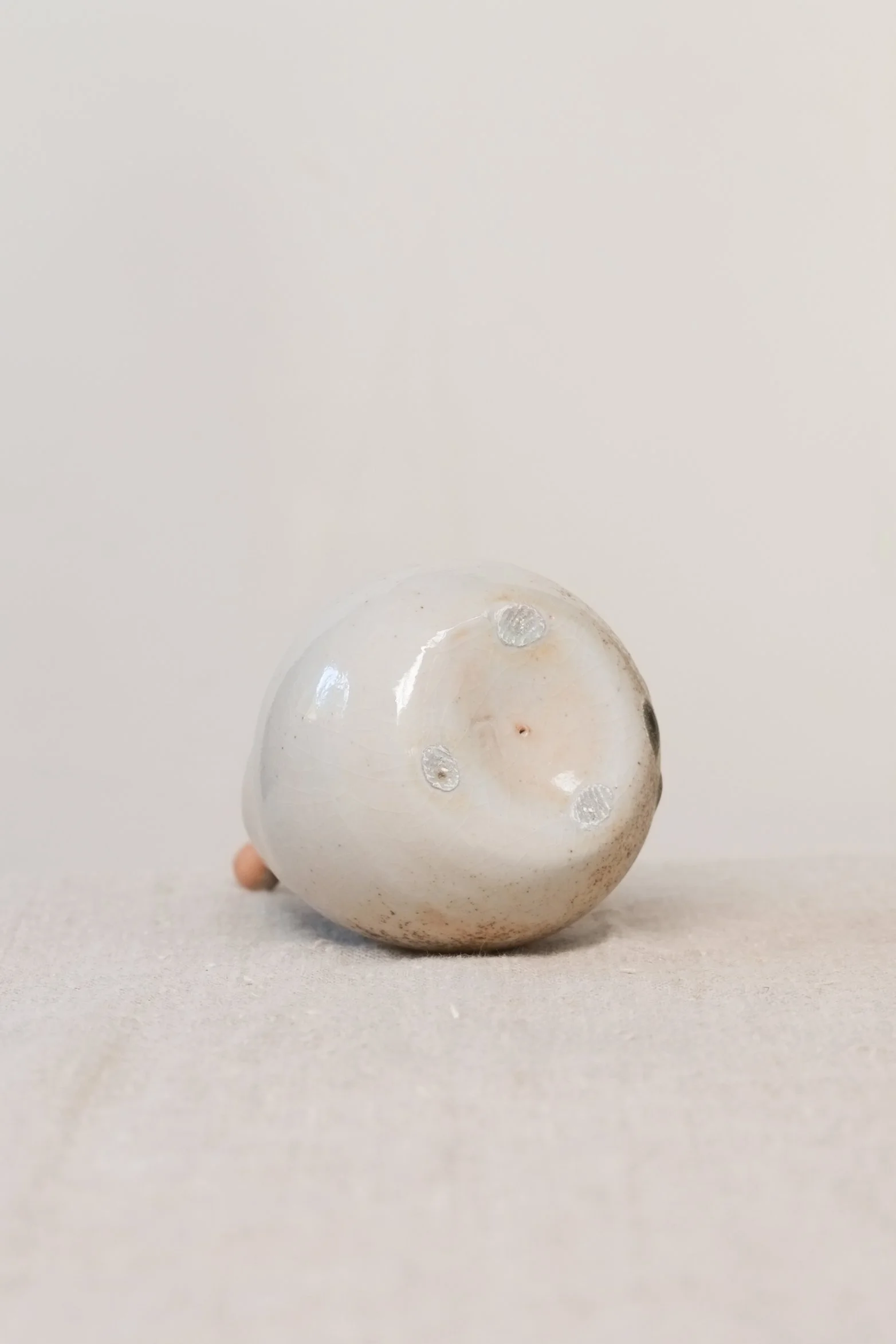 DSCF2680.jpg