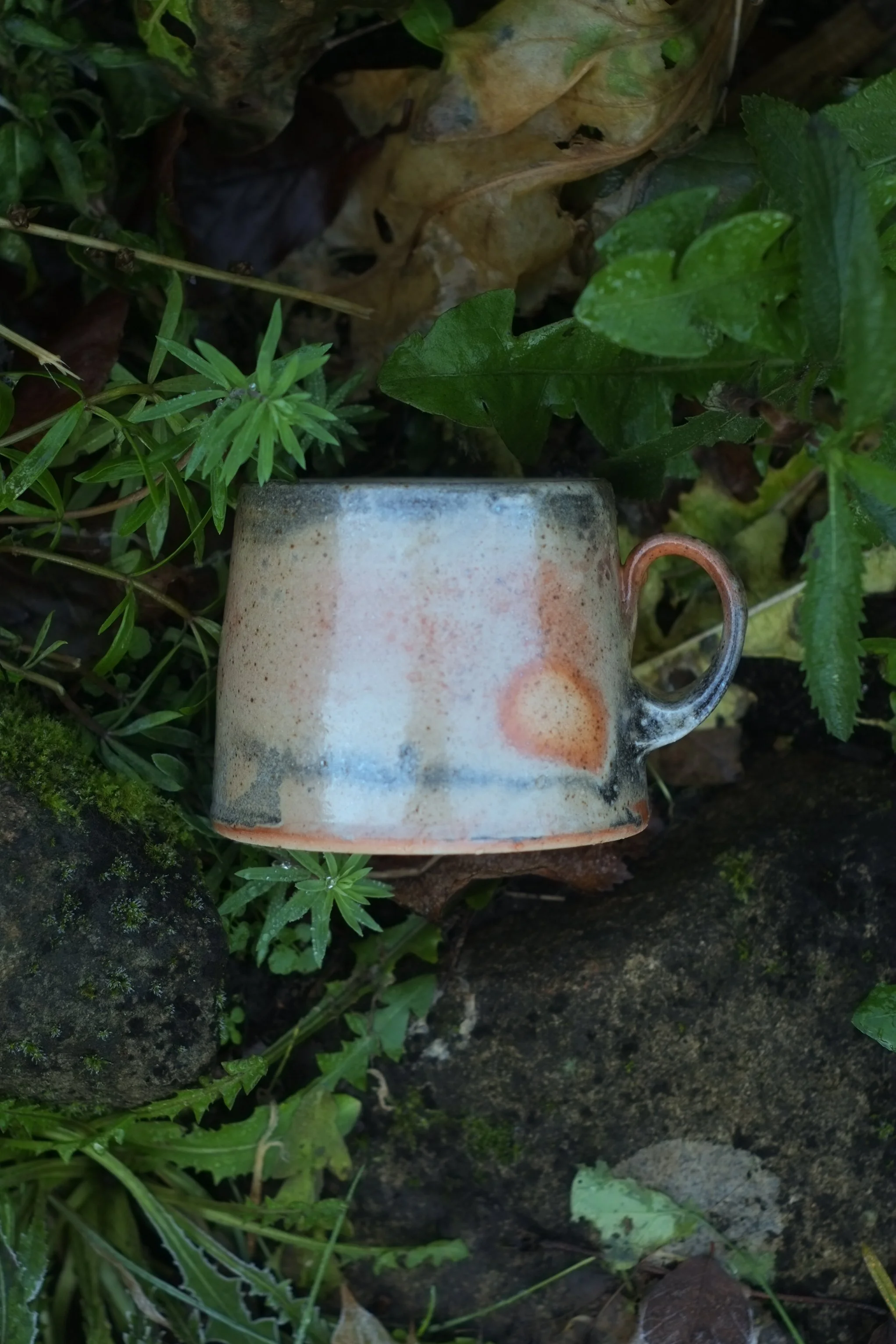 DSCF4653.jpg