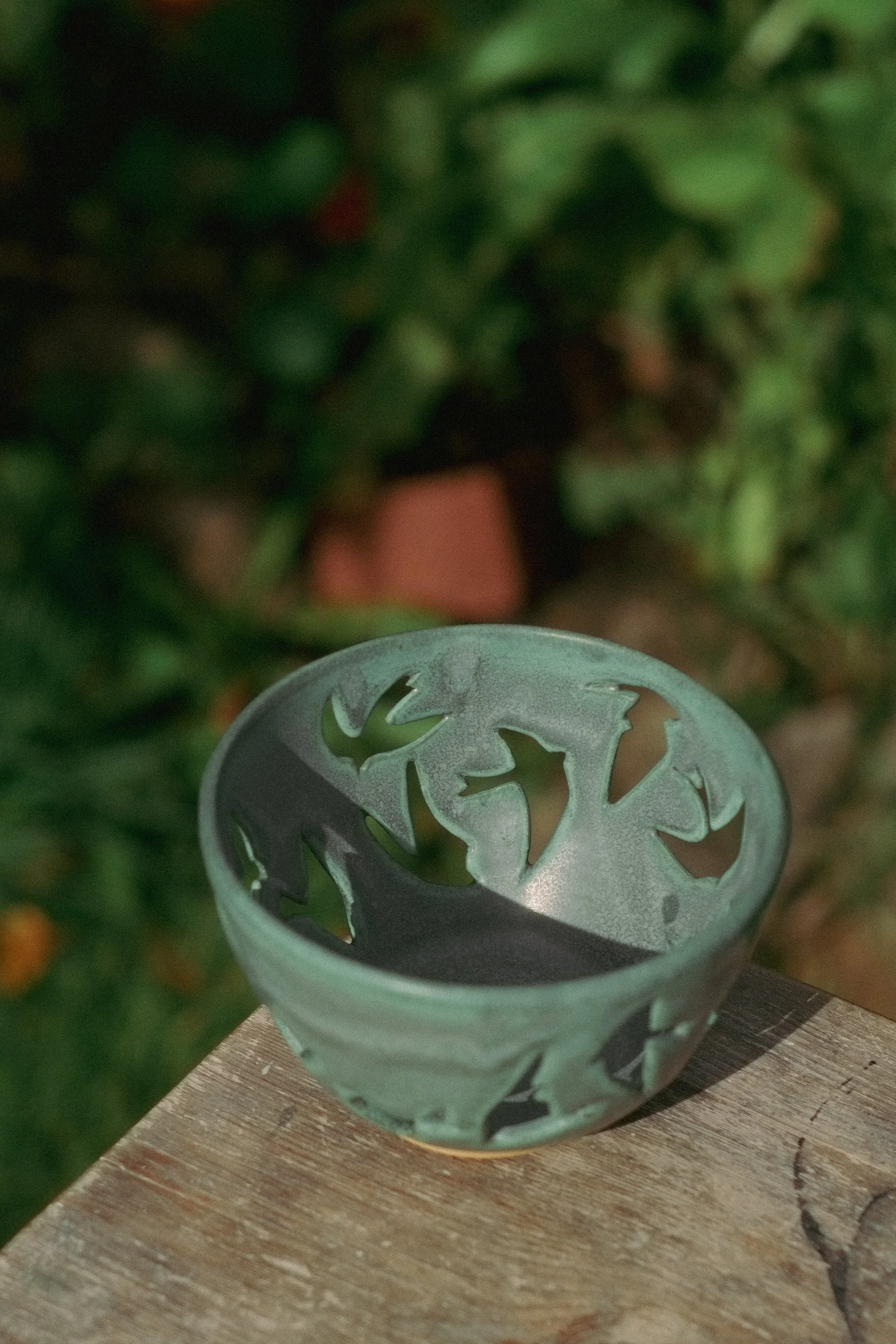 DSCF2563.jpg