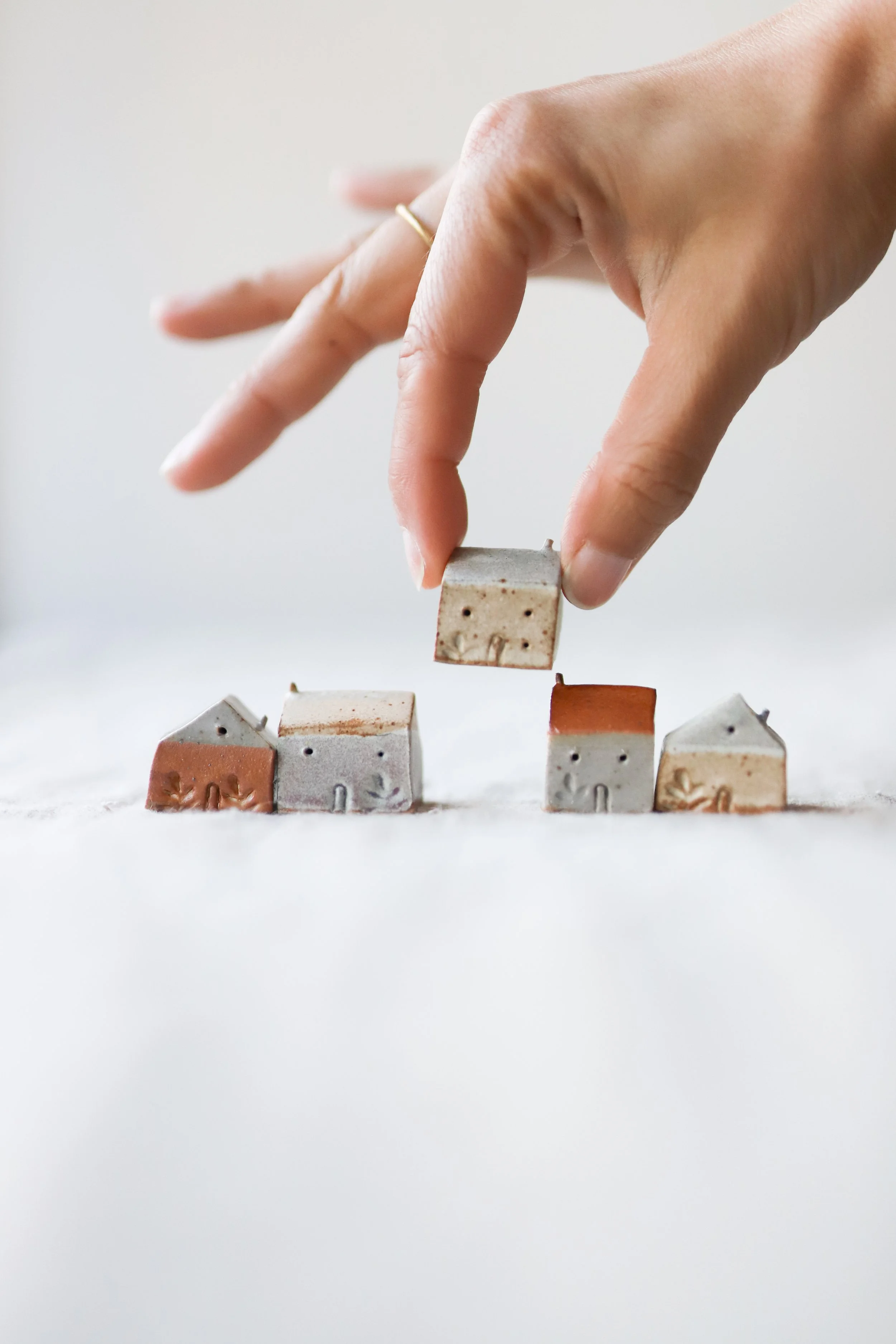 IMG_6567-2.jpg (Copy)