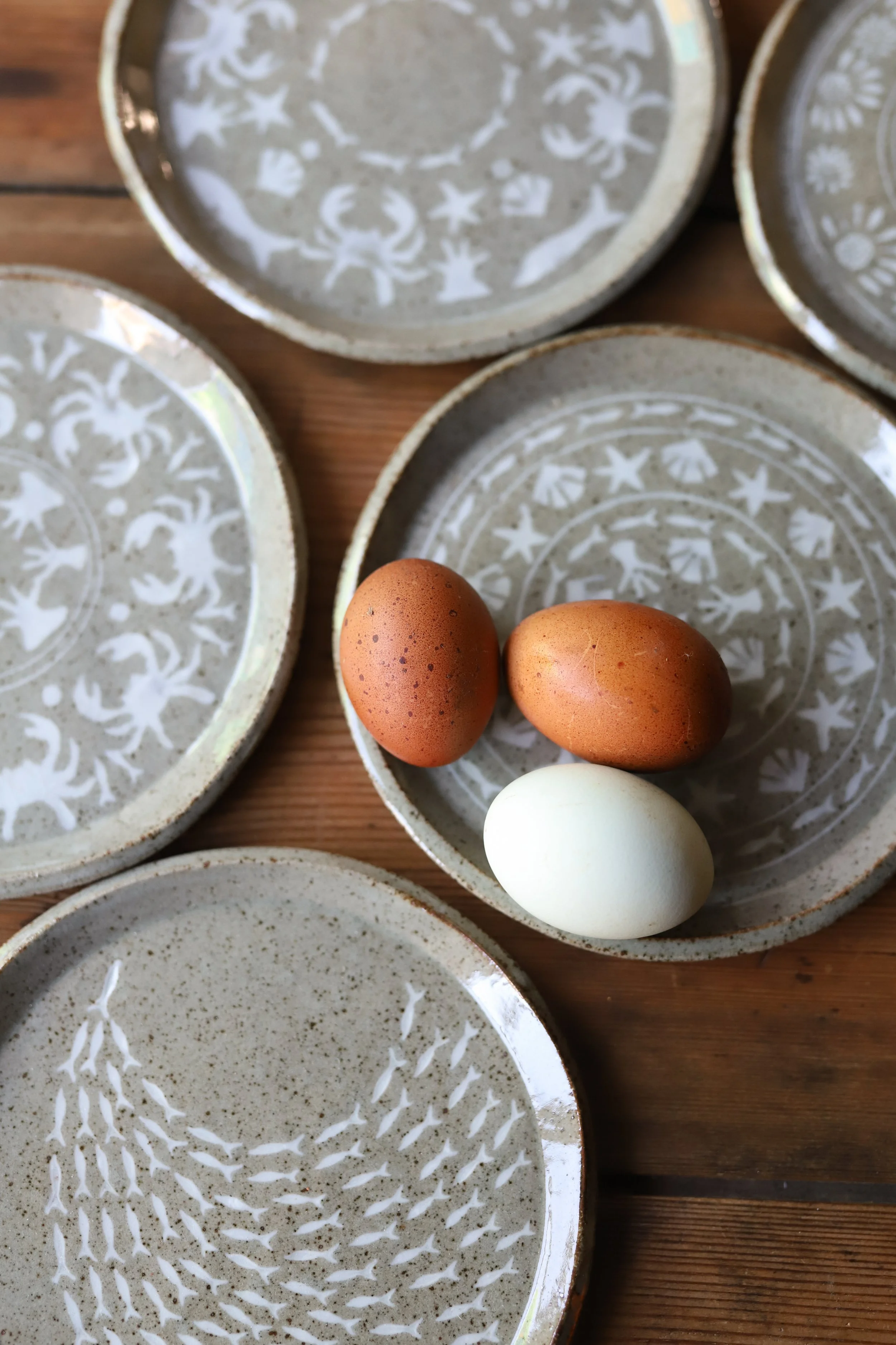 IMG_5299.jpg (Copy) (Copy) (Copy) (Copy) (Copy)