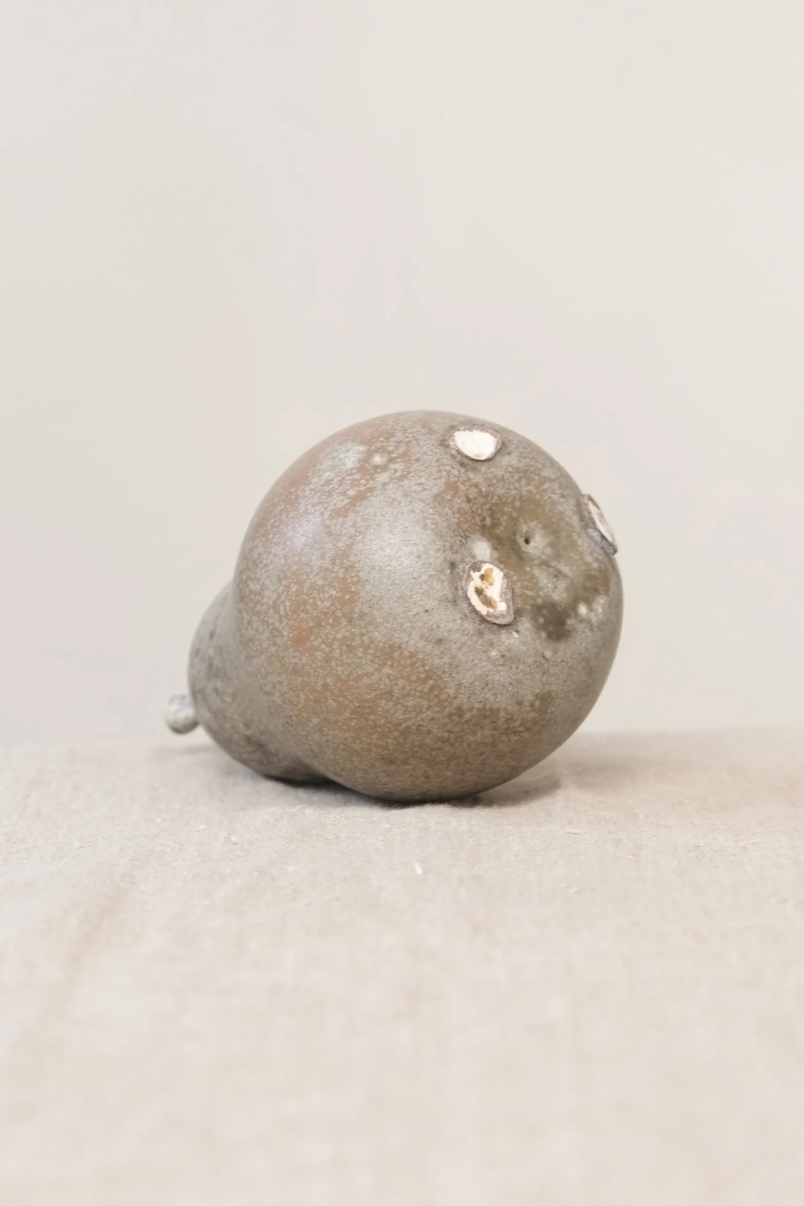DSCF2701.jpg