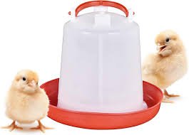Chicken Waterer