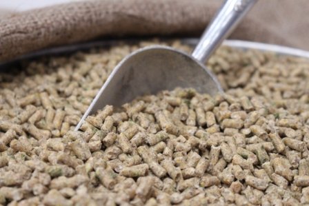 layer-pellets.jpg