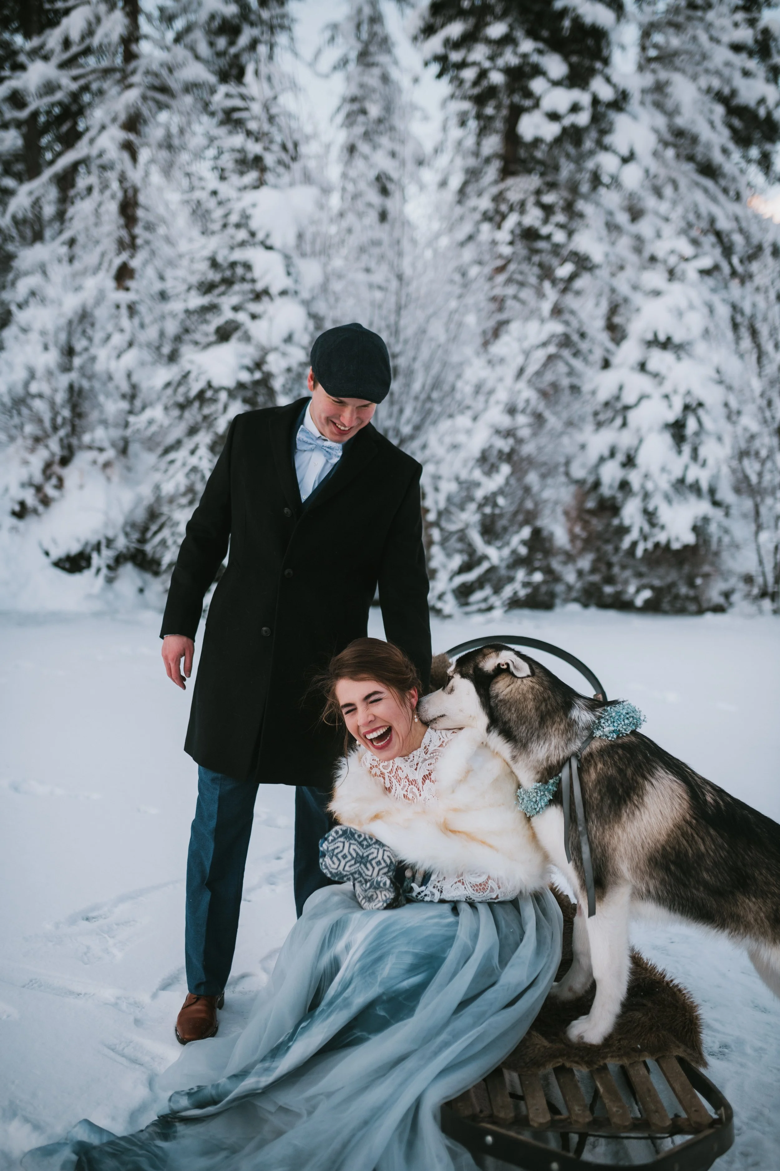 Elopement couple enjoys kisses from Alaska dog mushing puppy 