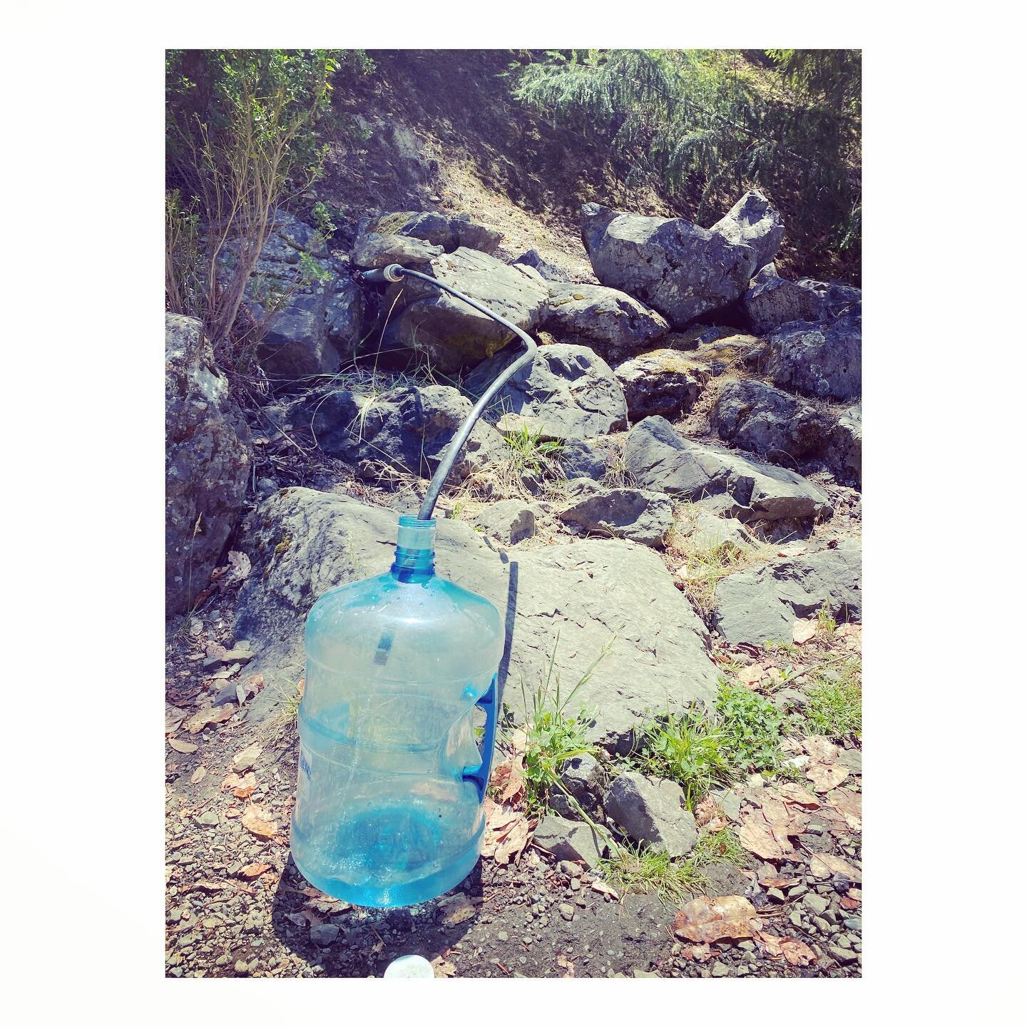 I collect fresh mountain spring water for use in all of my skin therapy treatments from steamed towels to beauty water elixirs. HYDRATION is key. 
💧🦋💧
.
the water I collect in the BPA free container after hauling gets transferred to 2 smaller glas