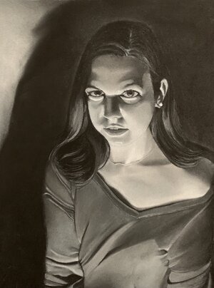 This portrait drawing was done in charcoal pencil on light blue Cason paper.  I tried to capture a mood reminiscent of the old Hollywood 'film noir' era. It is 12 1/2' x 10" and is titled "Portrait of Lisa'. Cost: $200.00