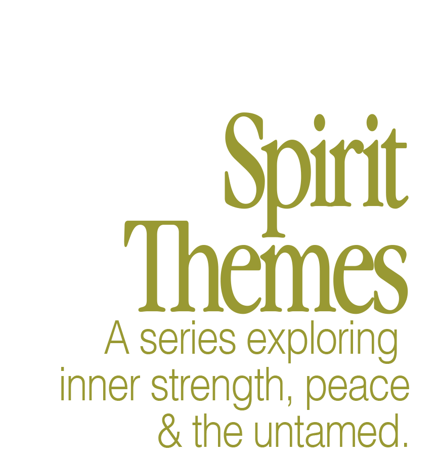 SpiritThemes.png