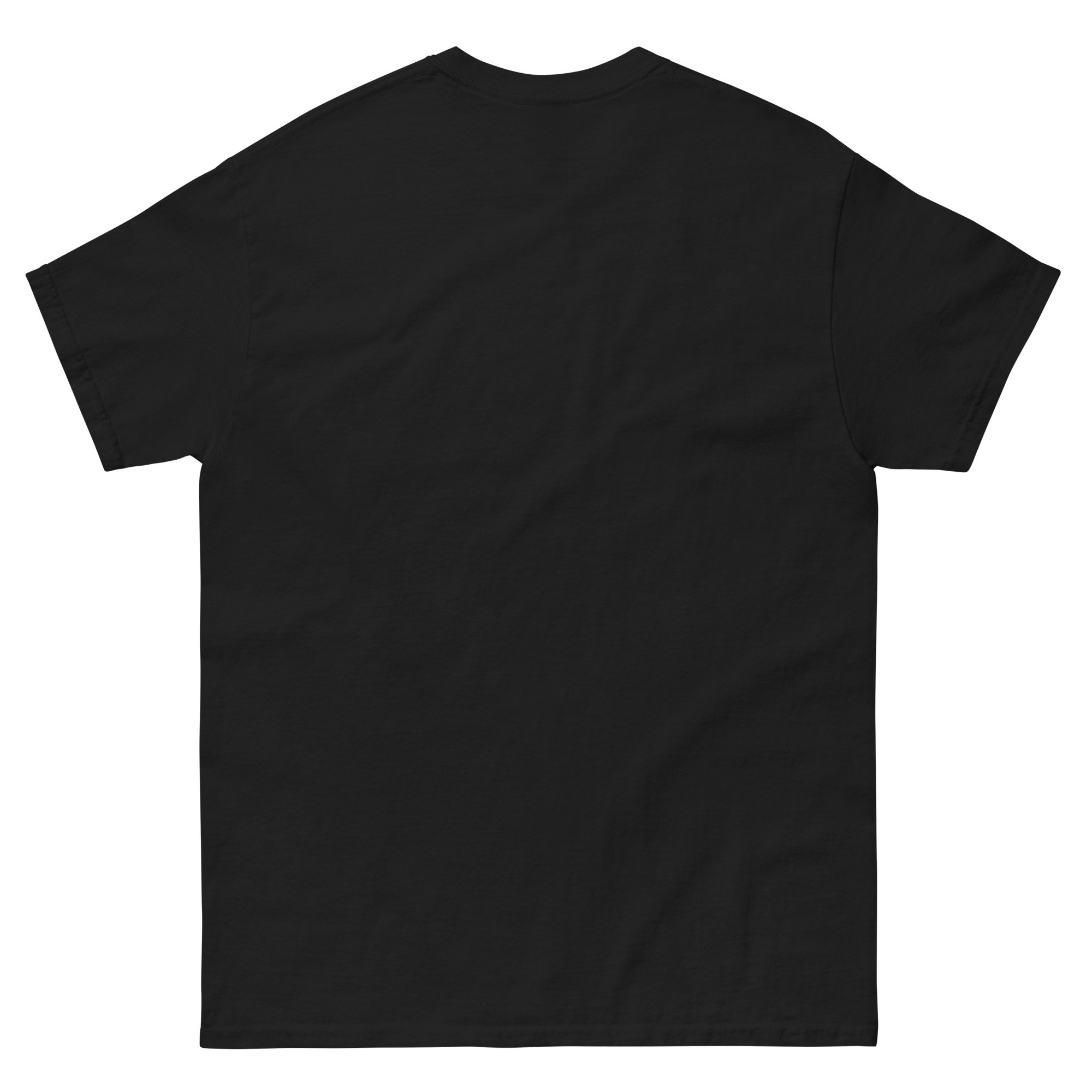 unisex-classic-tee-black-back-66b3b77e3b28d.jpg