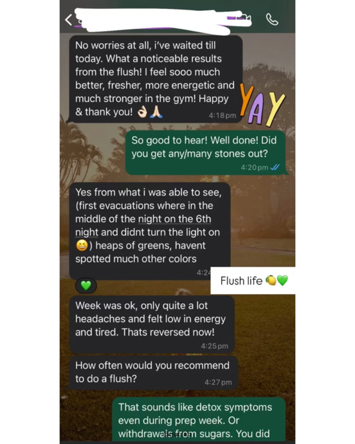 WhatsApp chat conversation about health after a medical procedure, mentioning feeling better, eating green vegetables, and recommendations for doing a flush.