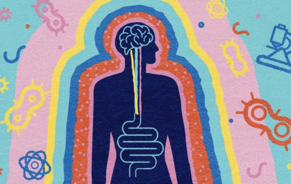 Why your gut could be the missing piece to your mental health.