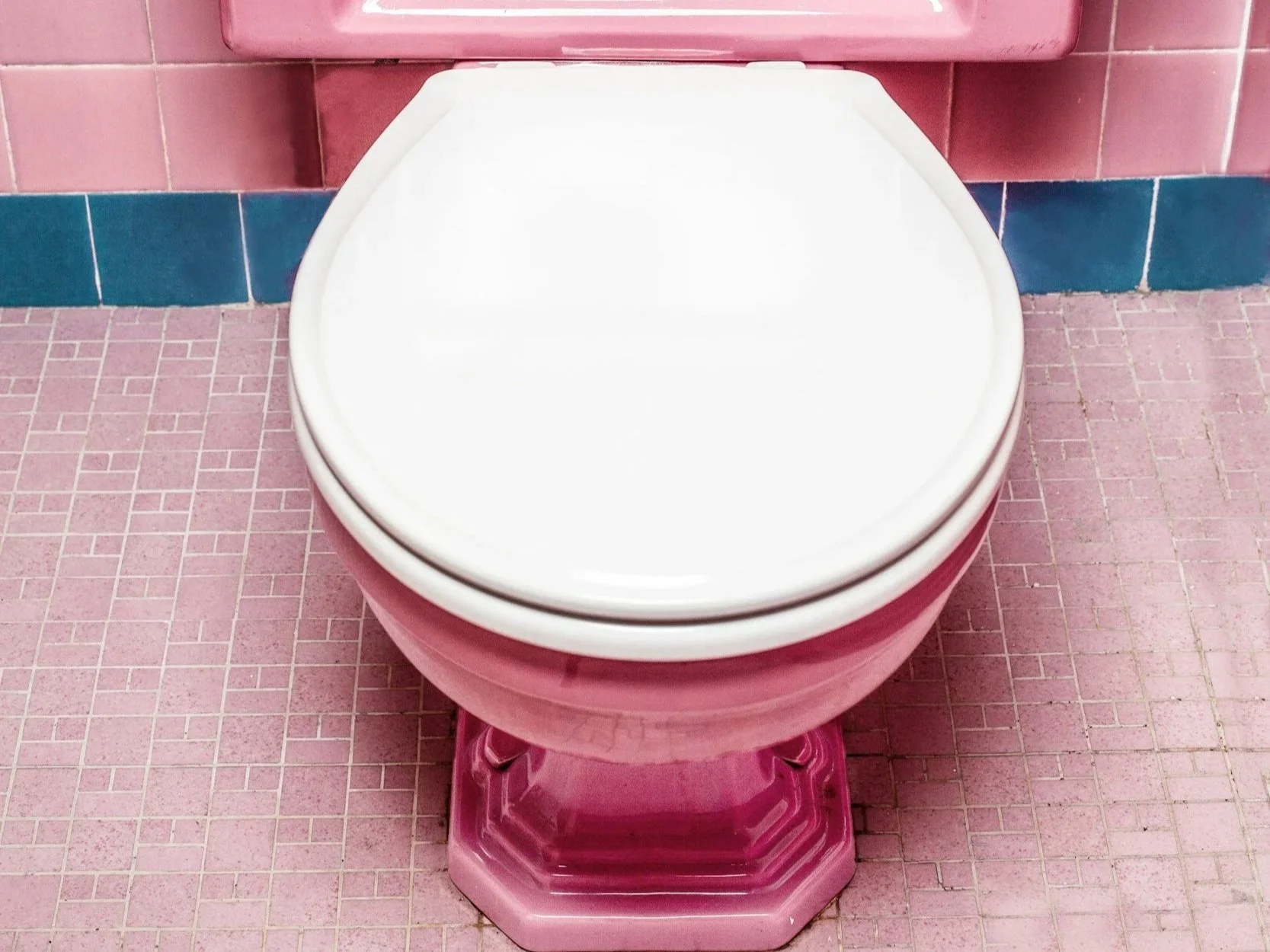 The #1 health flex nobody talks about. Your morning poo.