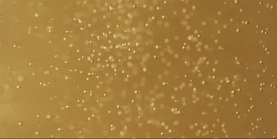 beer-bubbles2.jpg