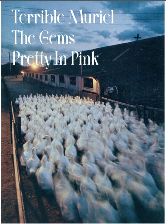 TERRIBLE MURIEL+ THE GEMS&nbsp;+ PRETTY IN PINK