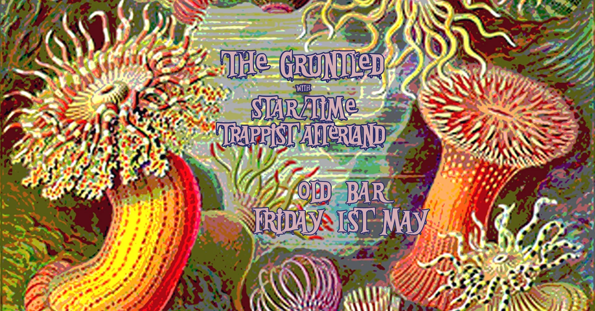 THE GRUNTLED + STAR/TIME + TRAPPIST AFTERLAND