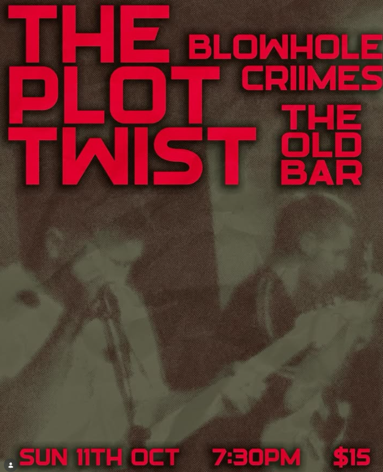 THE PLOT TWIST + BLOWHOLE + CRIIMES