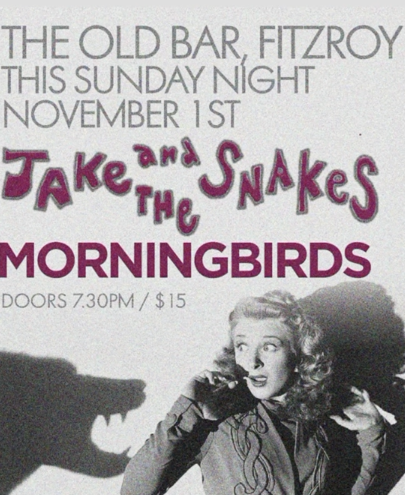 JAKE &amp; THE SNAKES + MORNING BIRDS + Guests