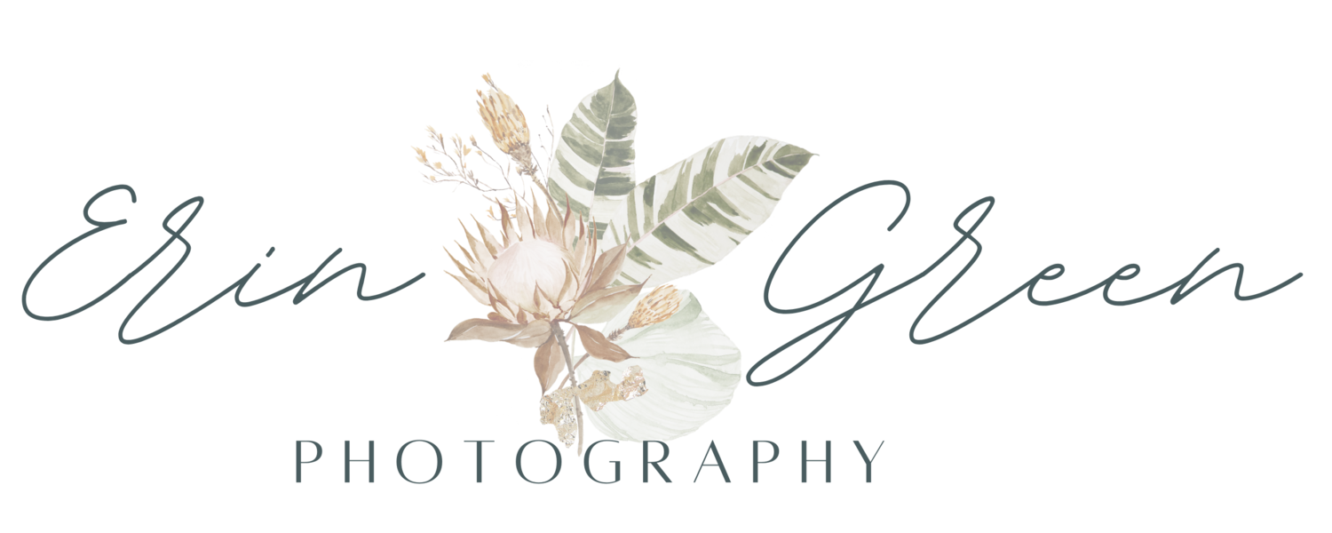 Erin Green Photography, Scottsdale and Phoenix Arizona Family, Branding, and Senior Photographer