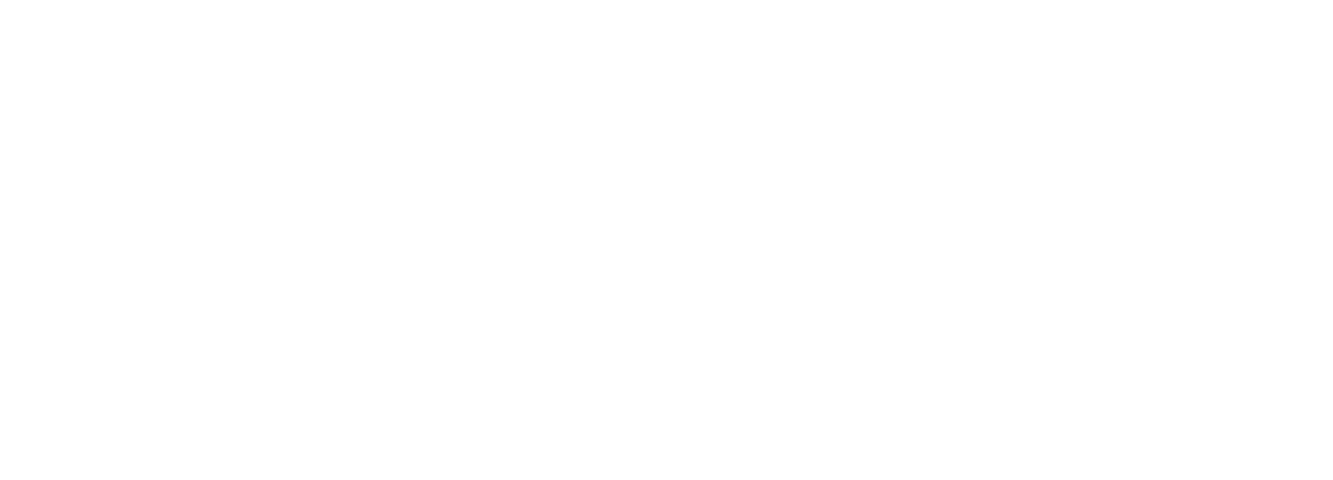 Speed Hunter Aviation